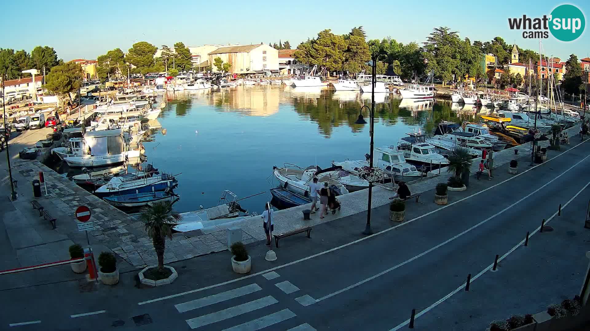 Novigrad webcam Mandrač | Cittanova in Istria – Porto vecchio