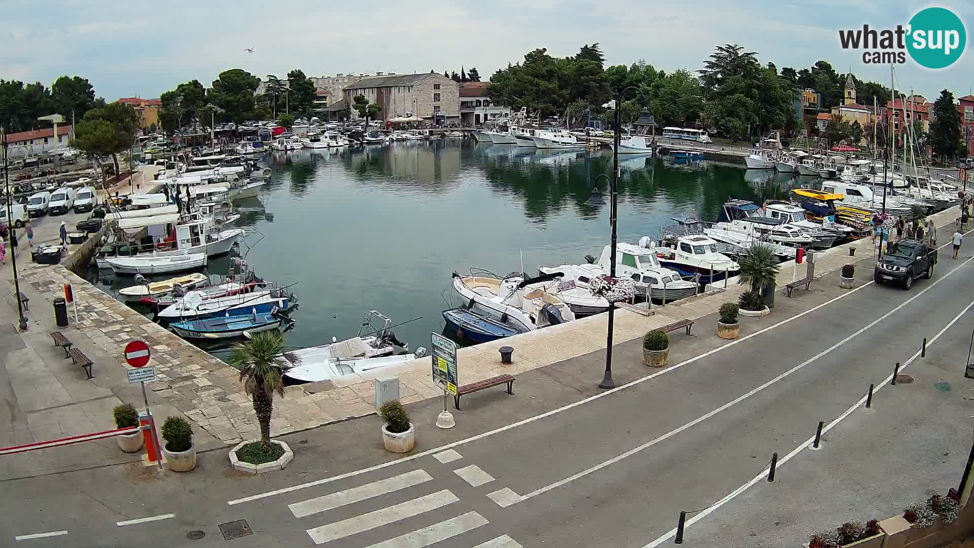 Novigrad –  Mandrač