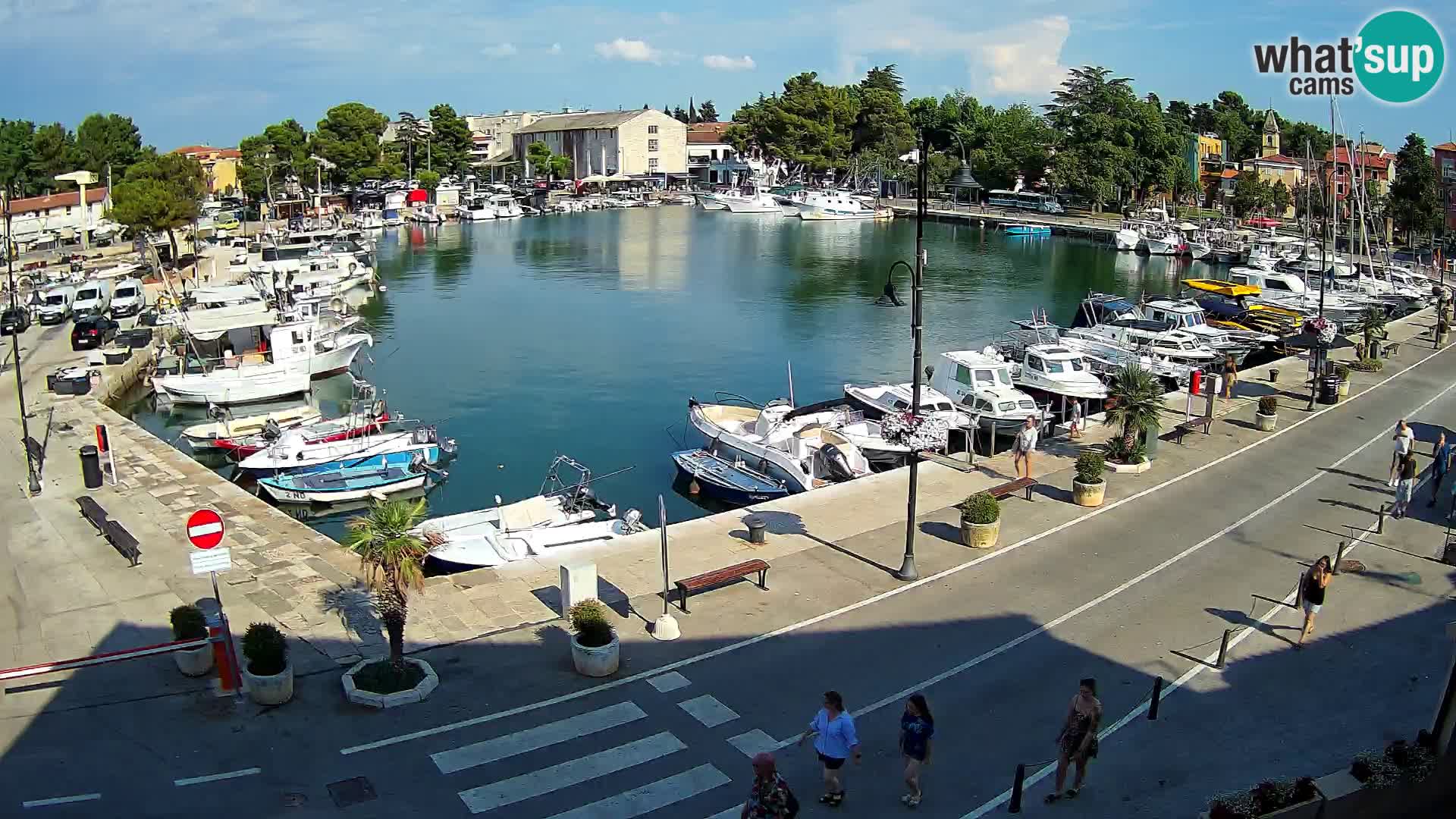 Novigrad webcam Mandrač | alten Hafen – Istrien