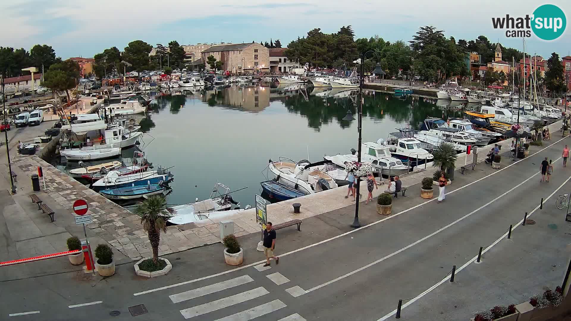 Novigrad webcam Mandrač | Cittanova in Istria – Porto vecchio