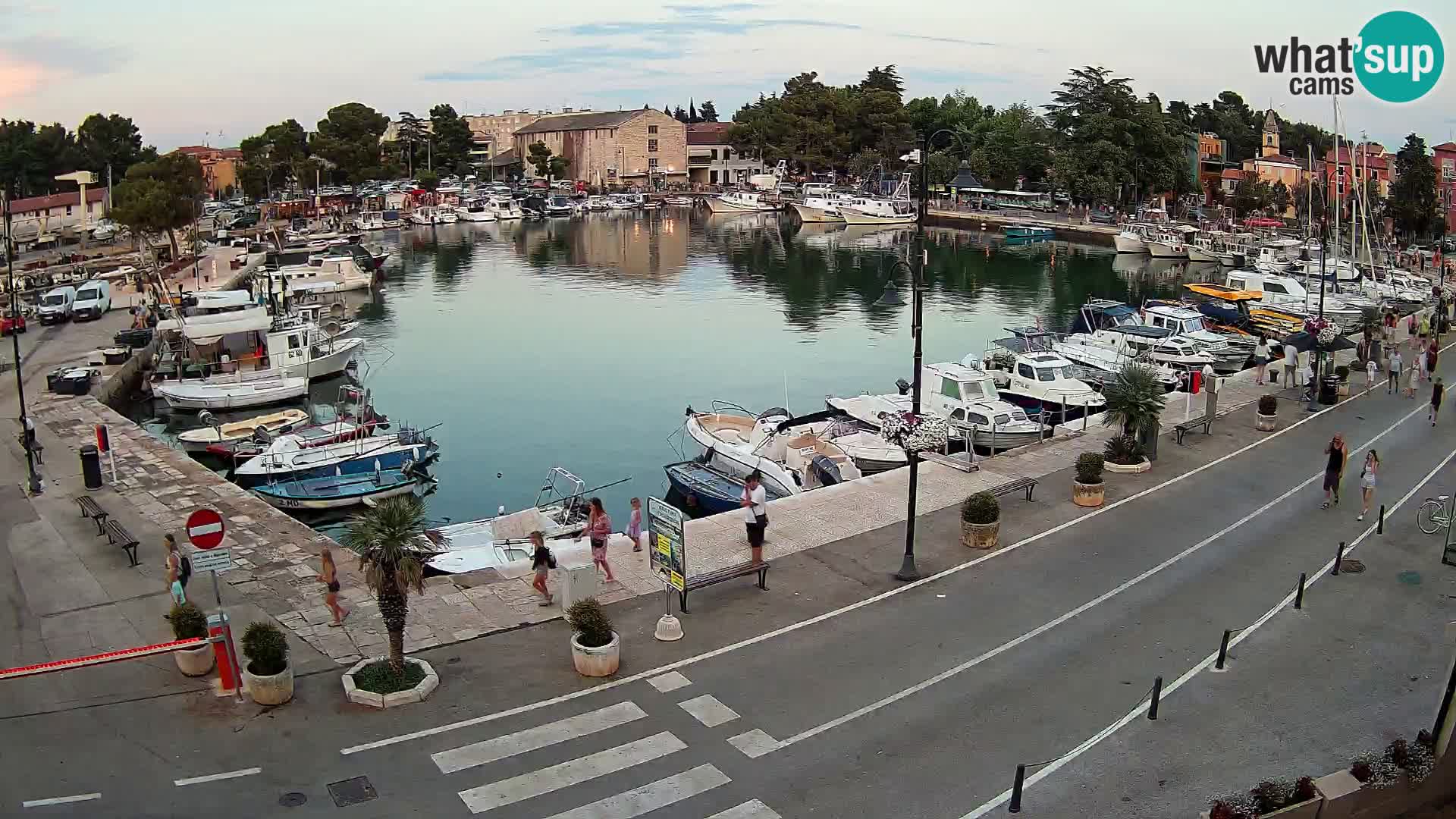 Novigrad webcam Mandrač | Cittanova in Istria – Porto vecchio