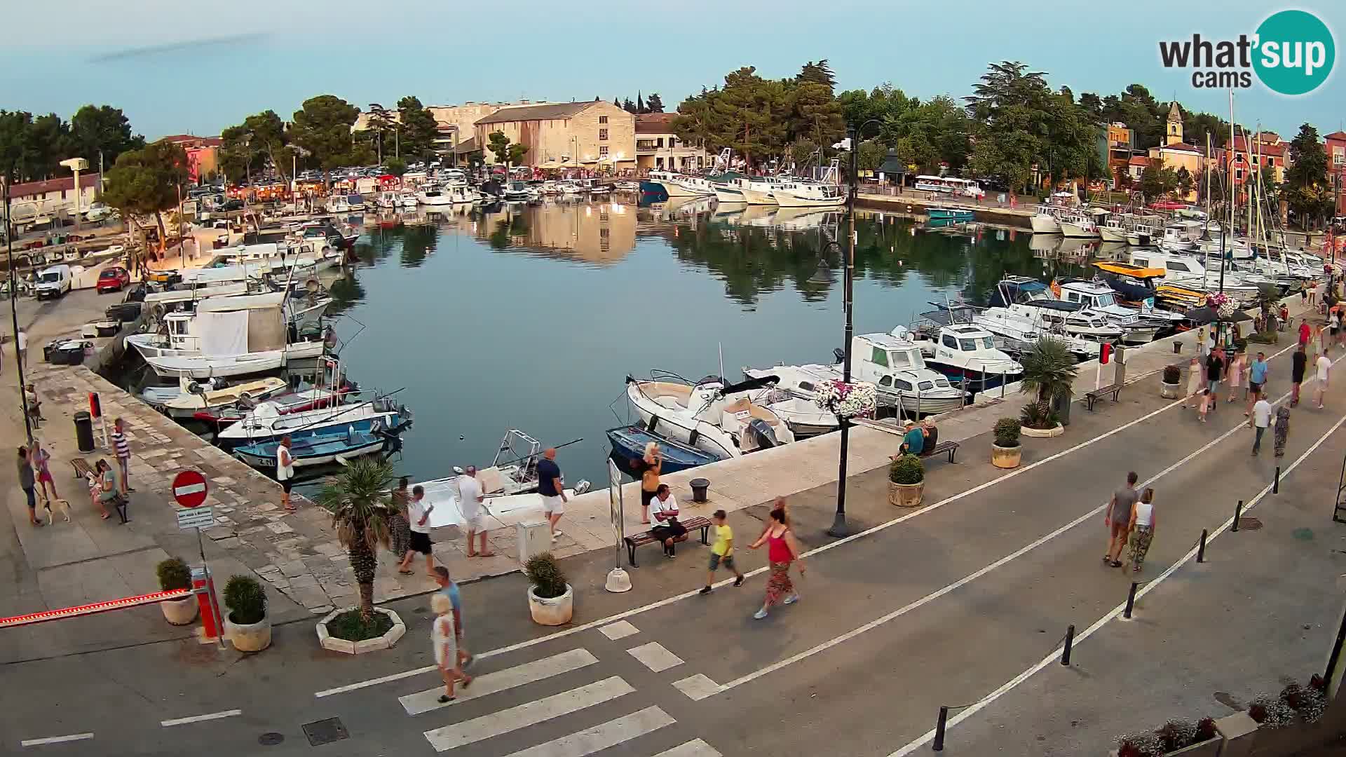 Novigrad webcam Mandrač | Cittanova in Istria – Porto vecchio