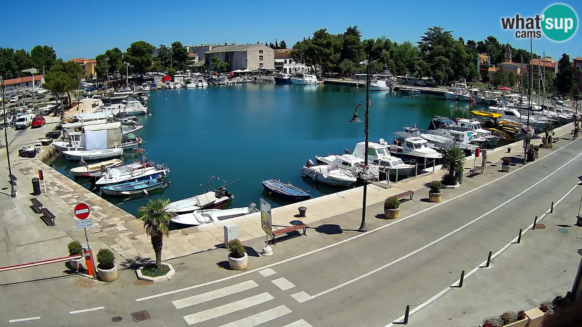 Novigrad webcam Mandrač | alten Hafen – Istrien