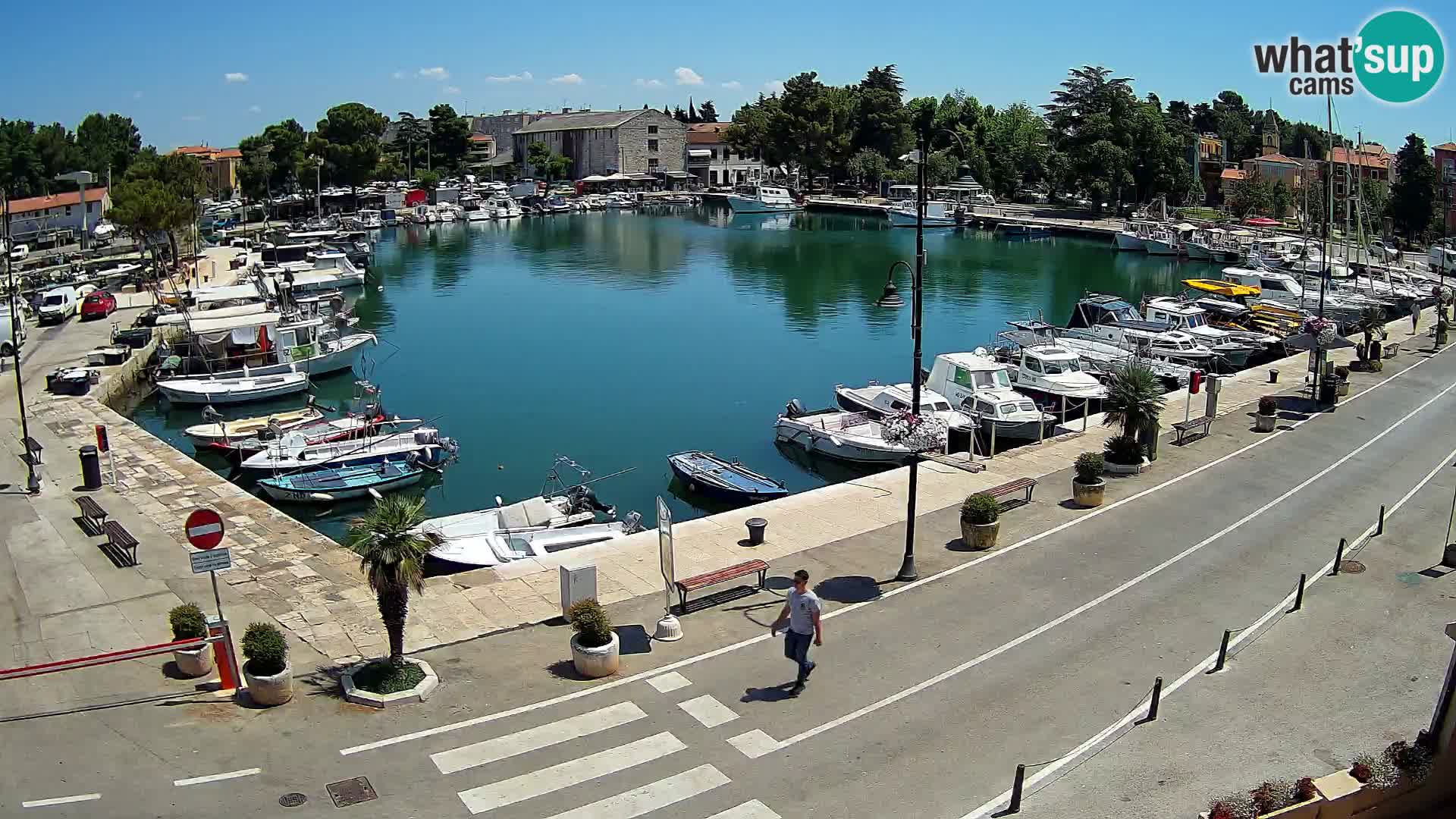 Novigrad webcam Mandrač | alten Hafen – Istrien