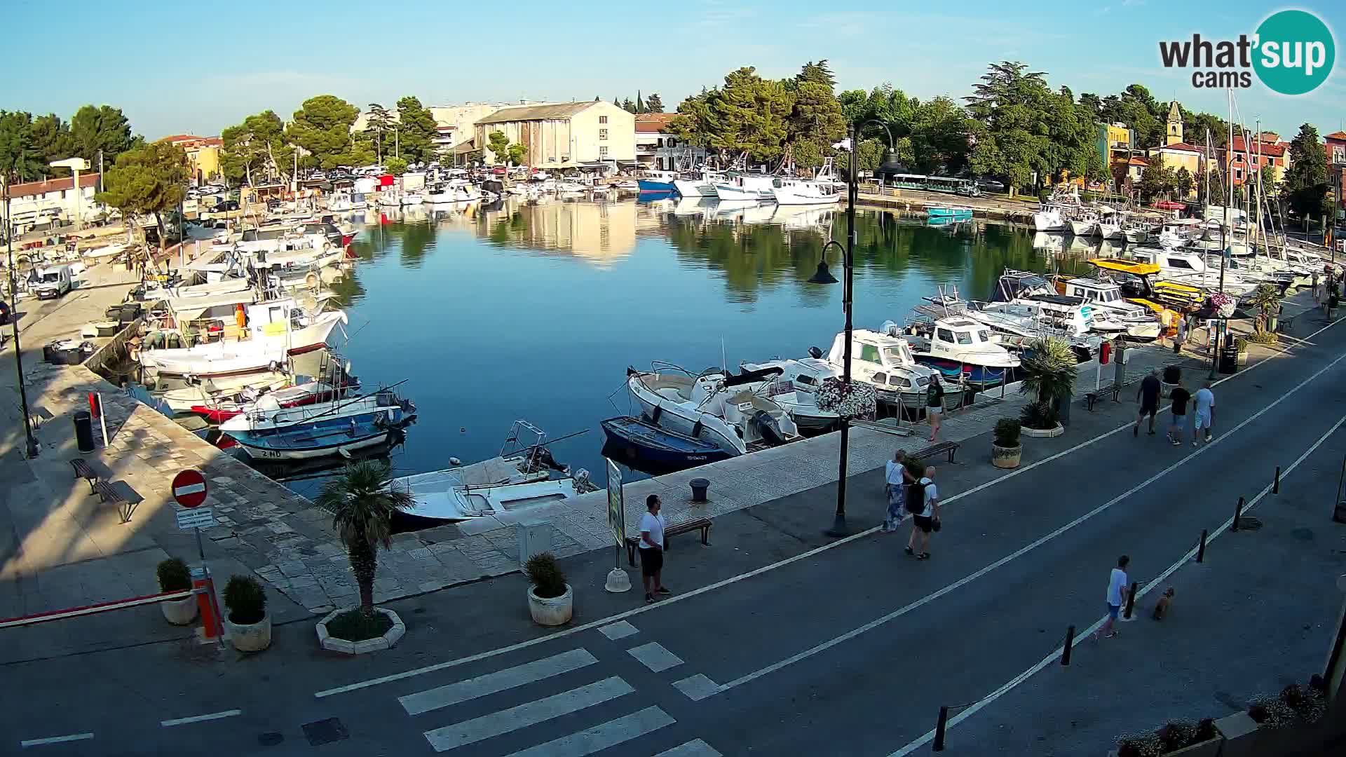 Novigrad webcam Mandrač | alten Hafen – Istrien