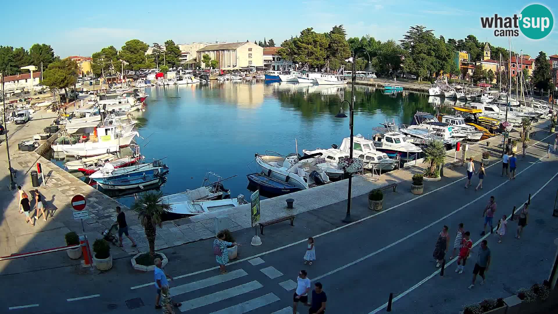 Novigrad kamera Mandrač – Istra