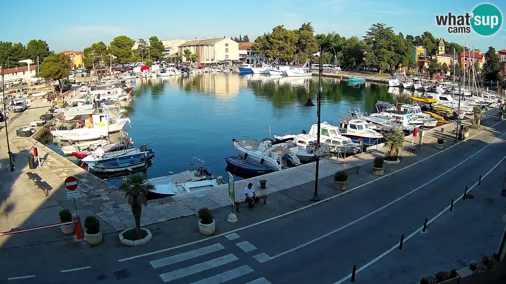 Novigrad webcam Mandrač | Cittanova in Istria – Porto vecchio