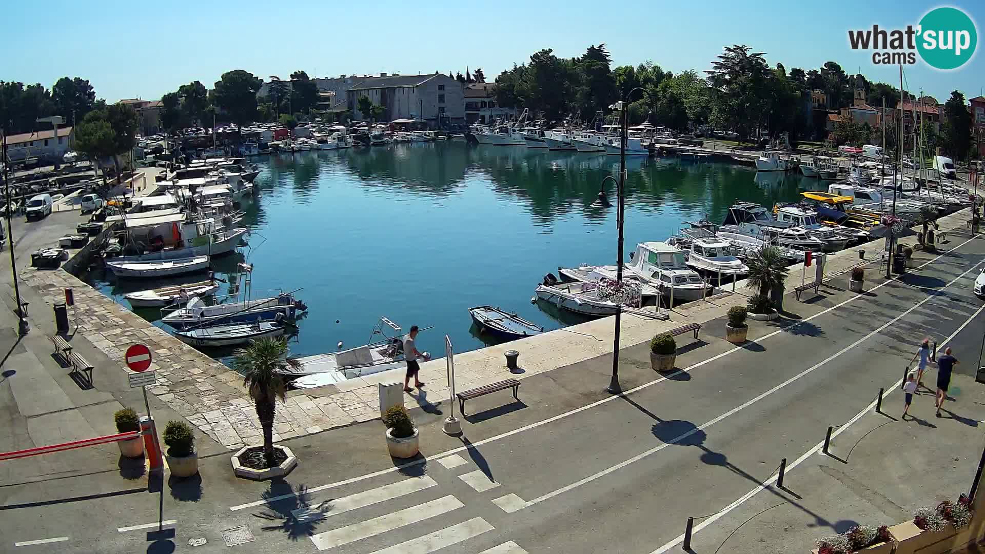 Novigrad webcam Mandrač | old marina – Istria