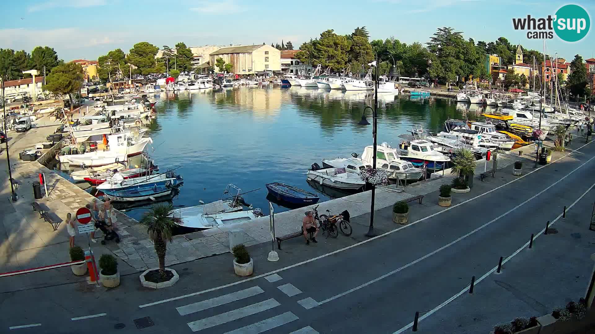 Novigrad webcam Mandrač | Cittanova in Istria – Porto vecchio