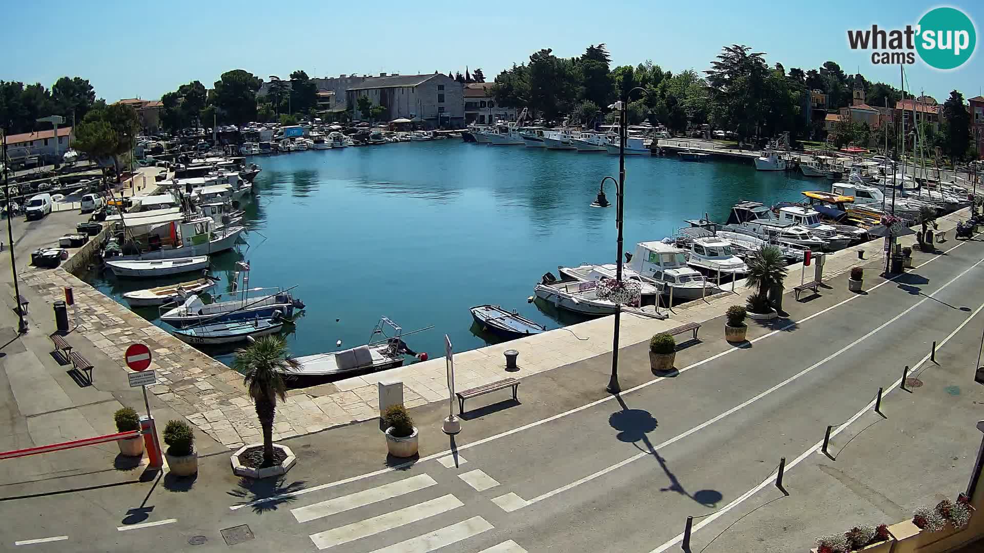 Novigrad webcam Mandrač | Cittanova in Istria – Porto vecchio