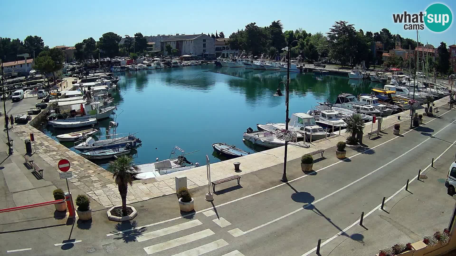 Novigrad webcam Mandrač | alten Hafen – Istrien