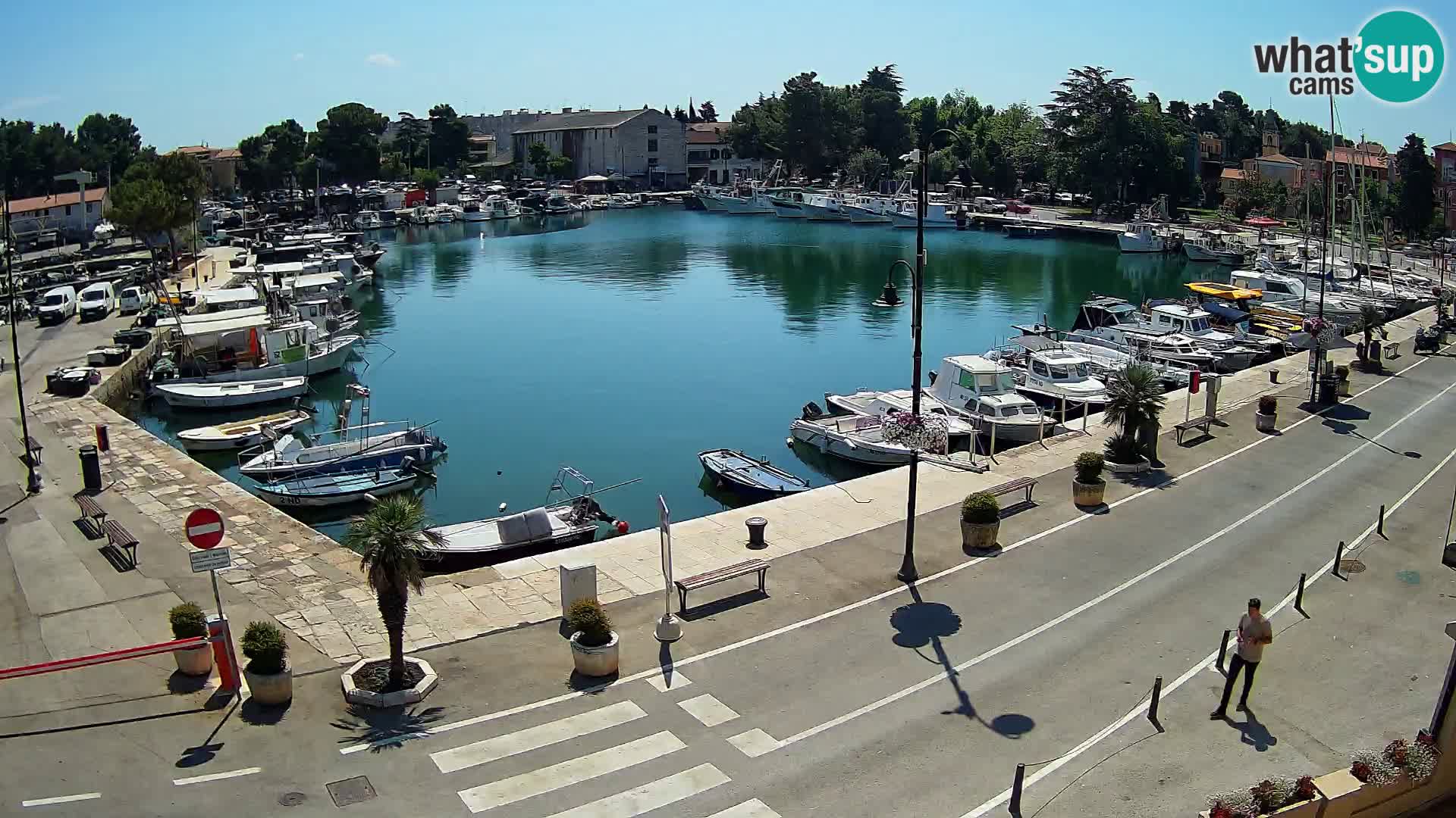 Novigrad kamera Mandrač – Istra