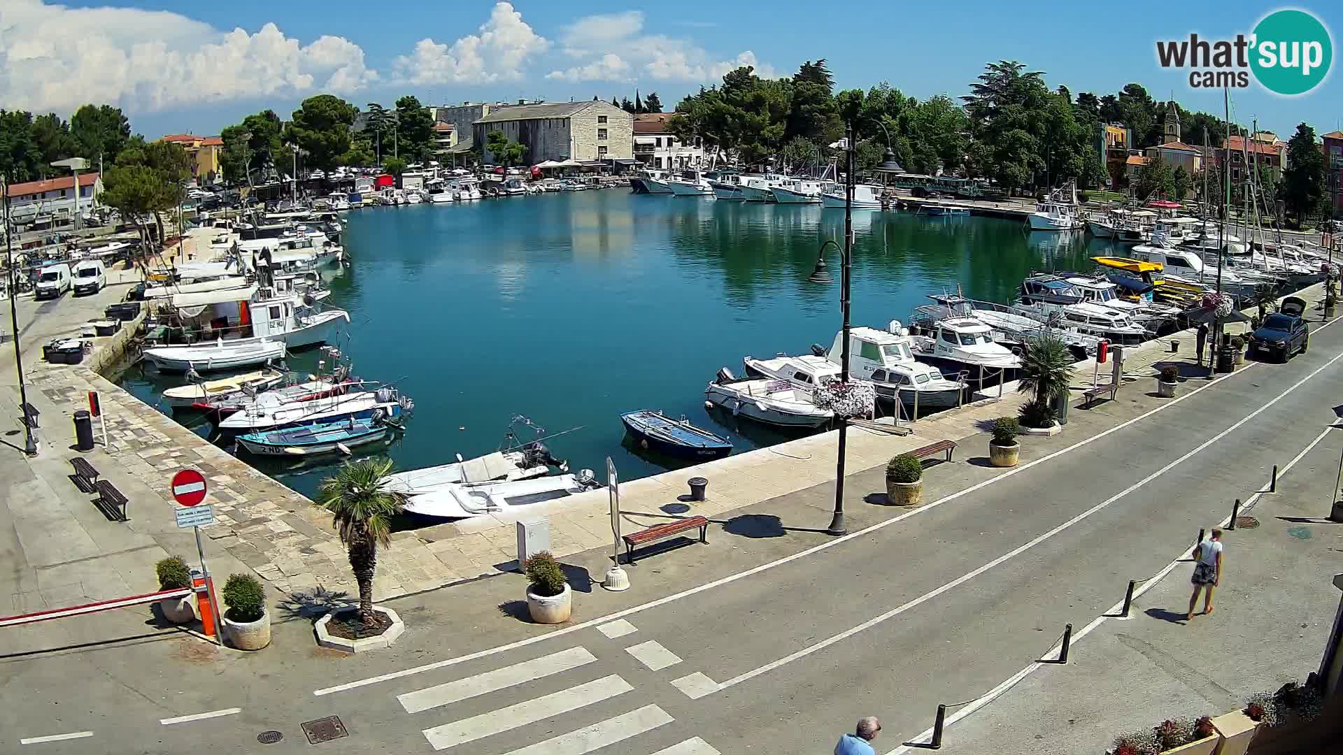 Novigrad webcam Mandrač | alten Hafen – Istrien