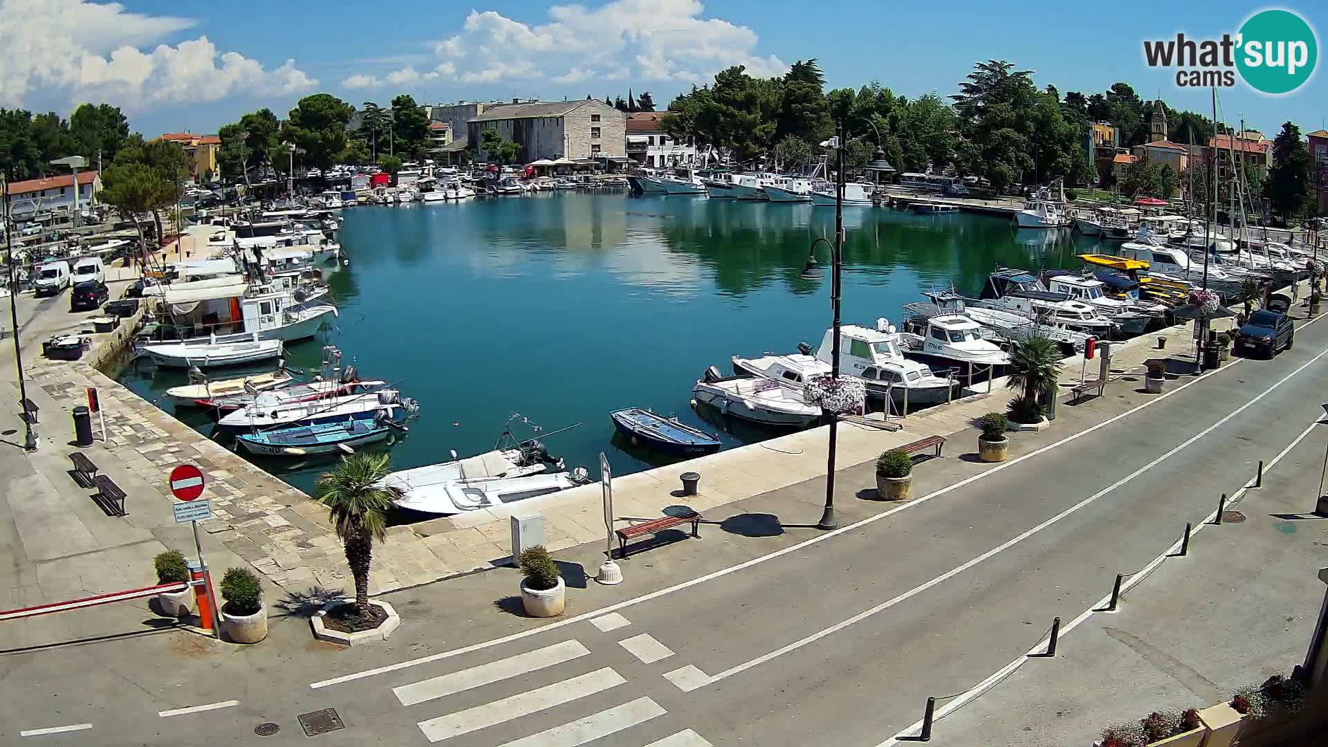 Novigrad –  Mandrač