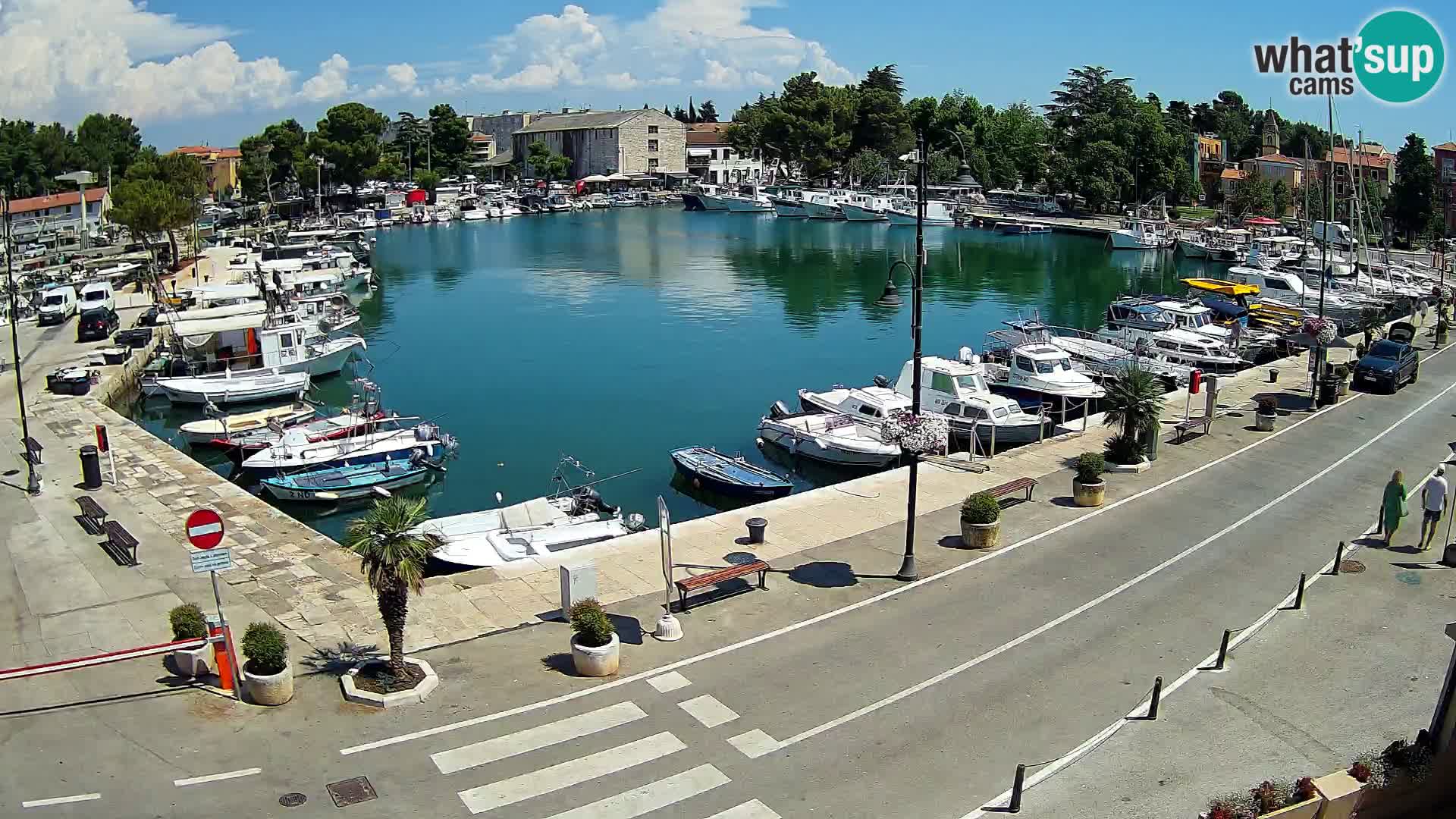 Novigrad webcam Mandrač | Cittanova in Istria – Porto vecchio