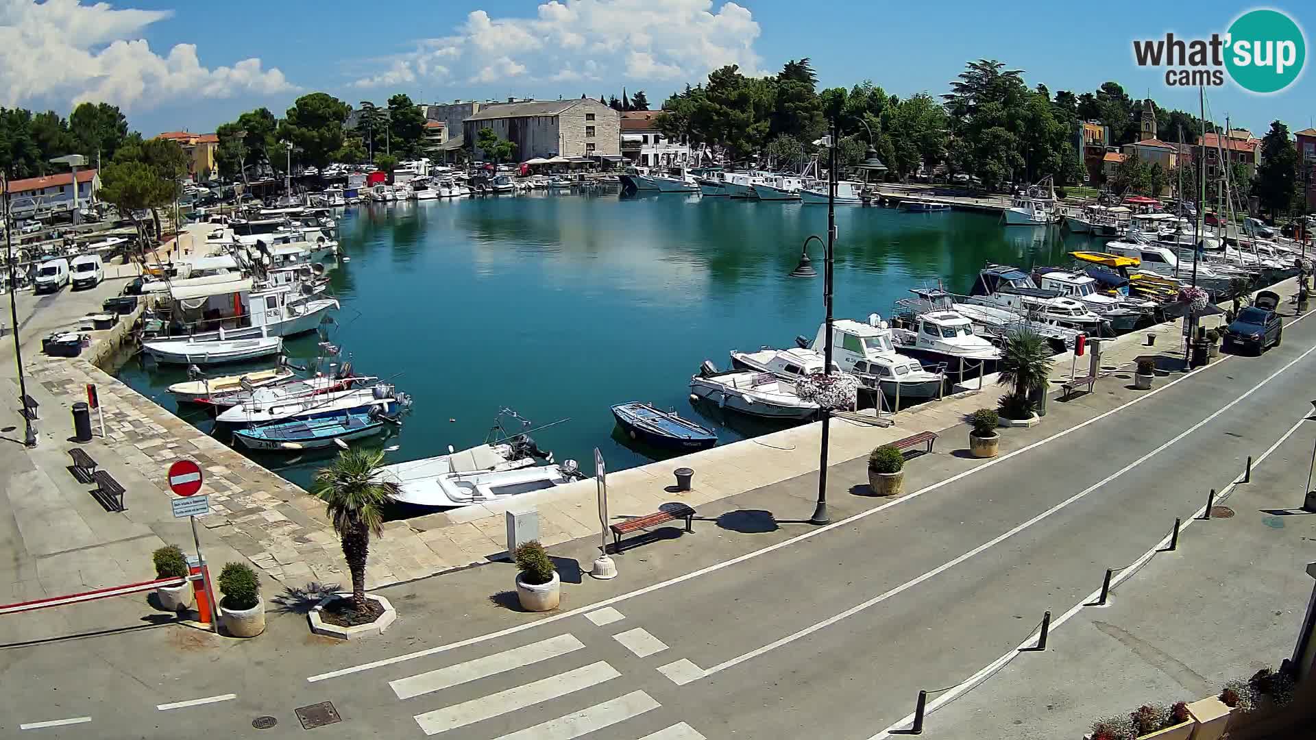Novigrad webcam Mandrač | Cittanova in Istria – Porto vecchio