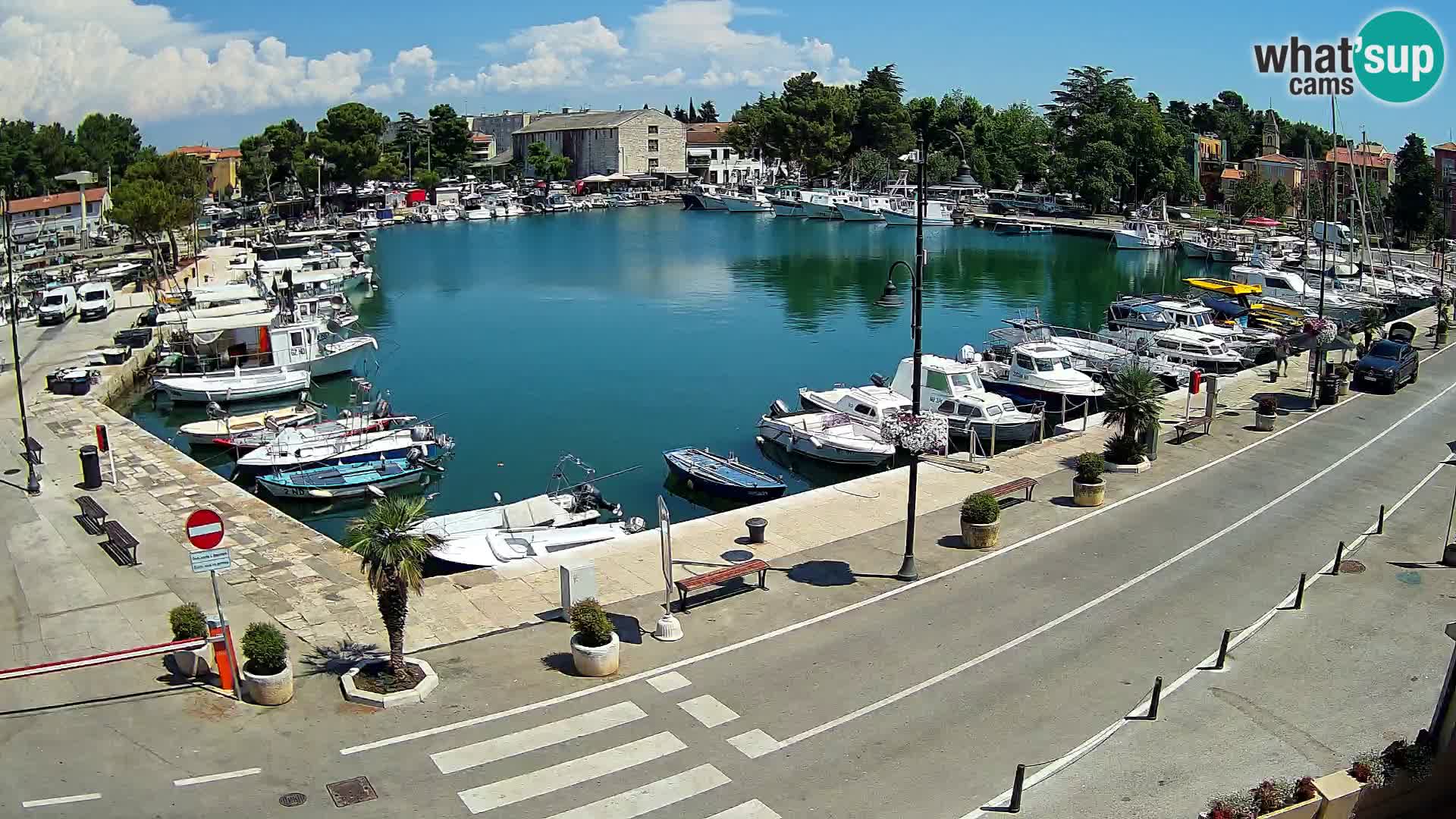 Novigrad kamera Mandrač – Istra