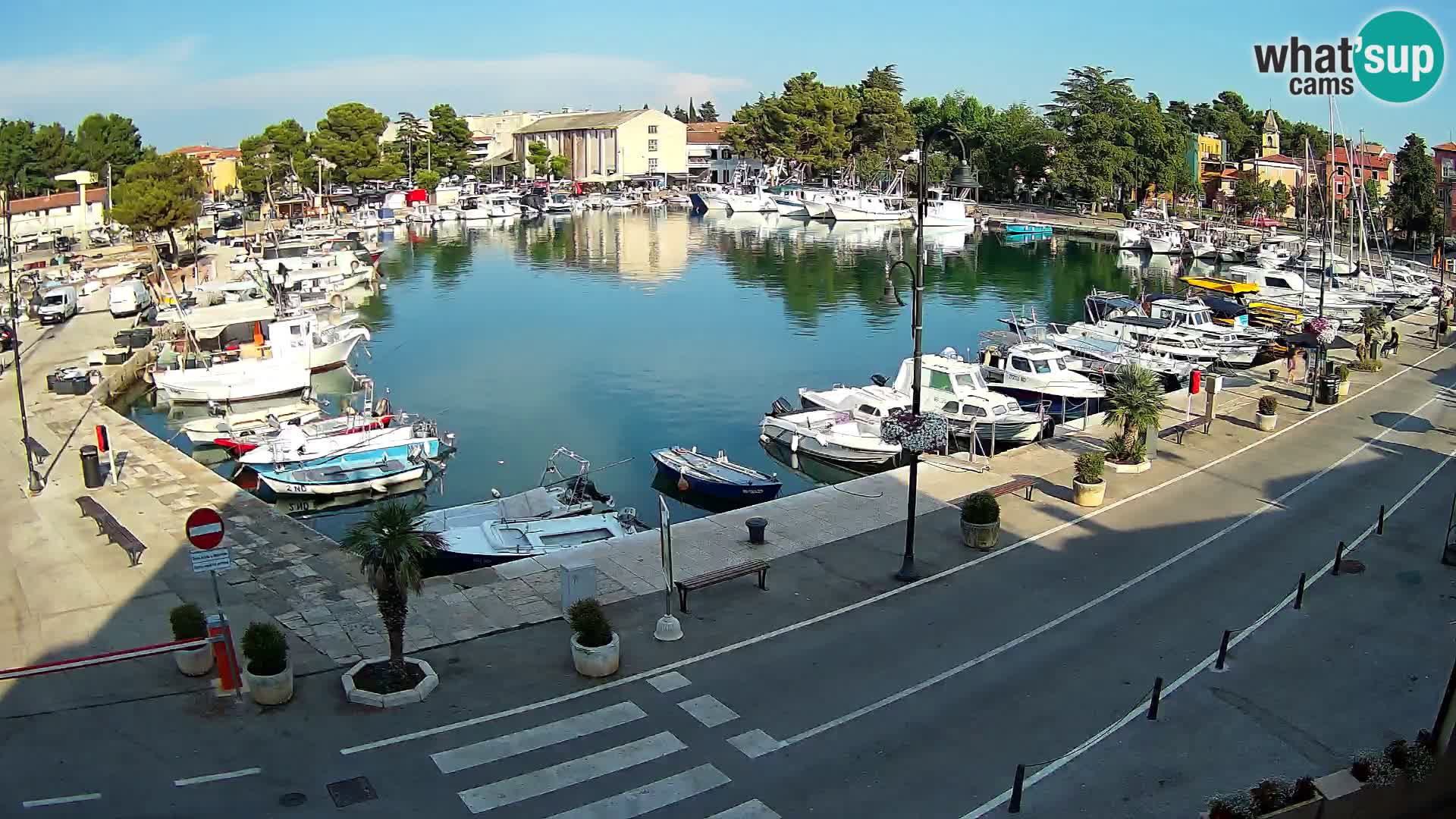Novigrad webcam Mandrač | Cittanova in Istria – Porto vecchio