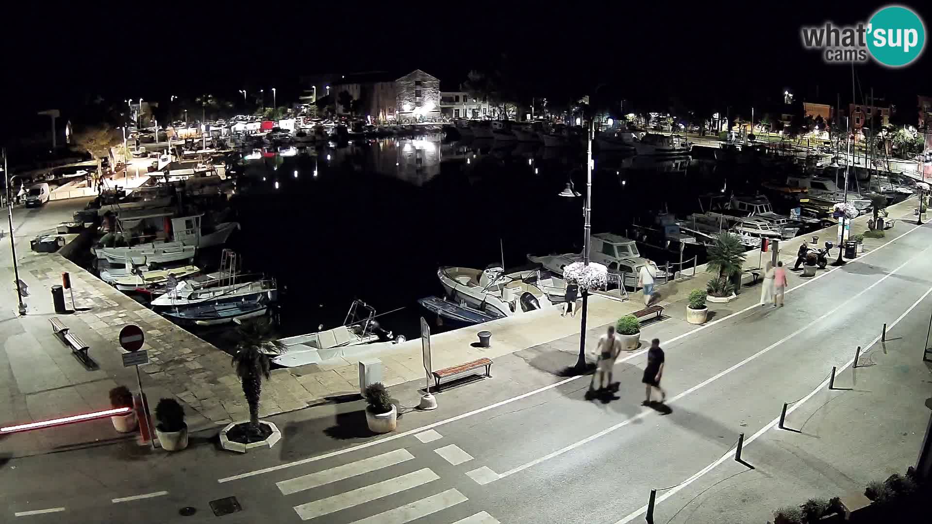 Novigrad webcam Mandrač | Cittanova in Istria – Porto vecchio