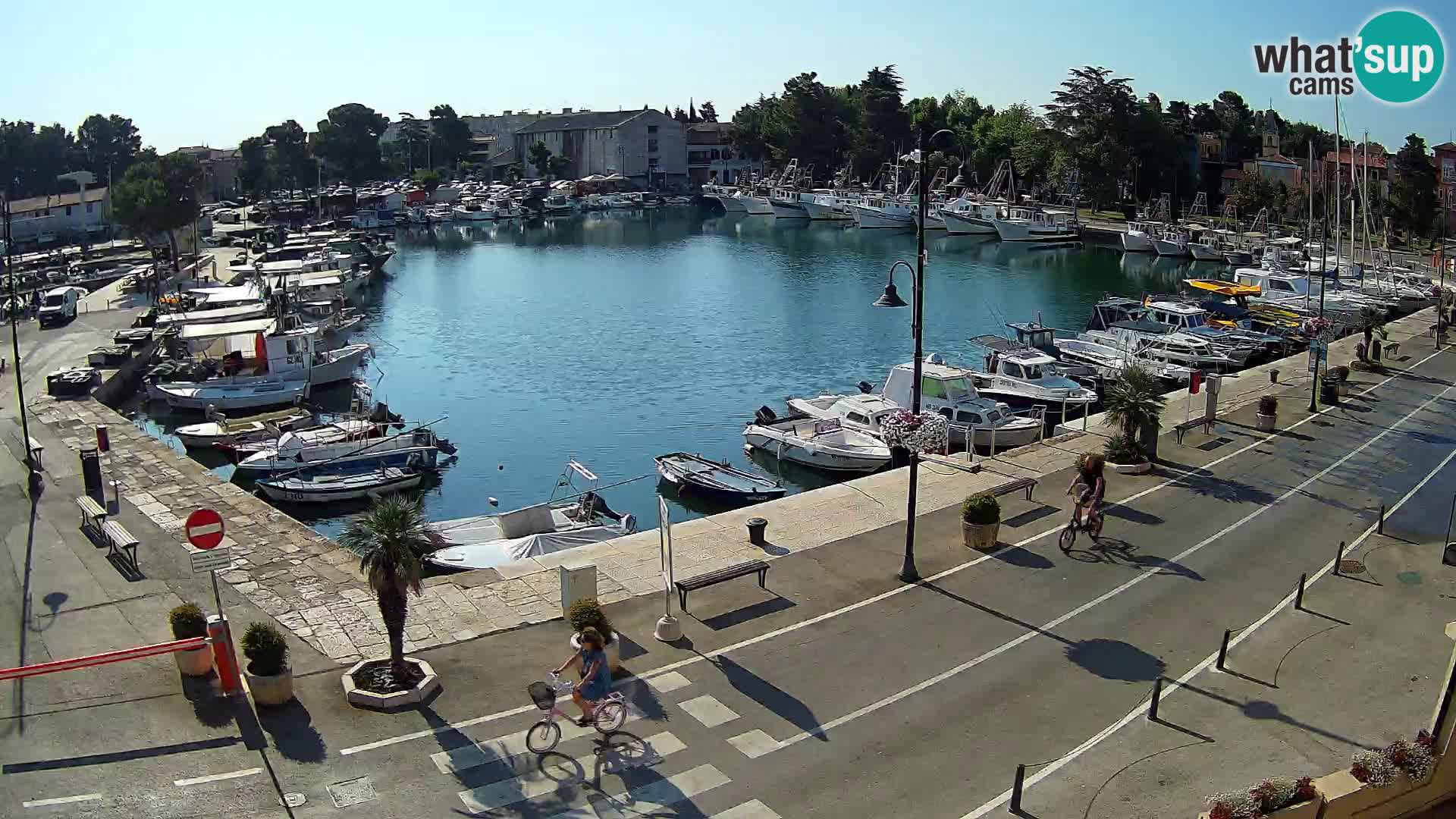 Novigrad –  Mandrač