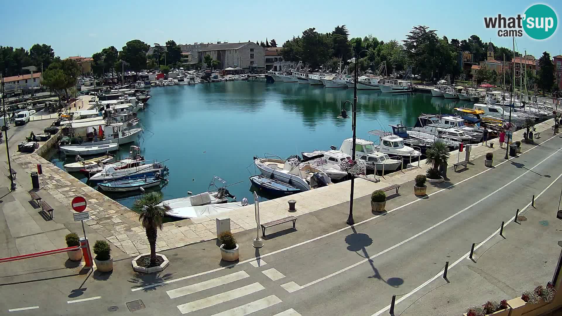 Novigrad kamera Mandrač – Istra
