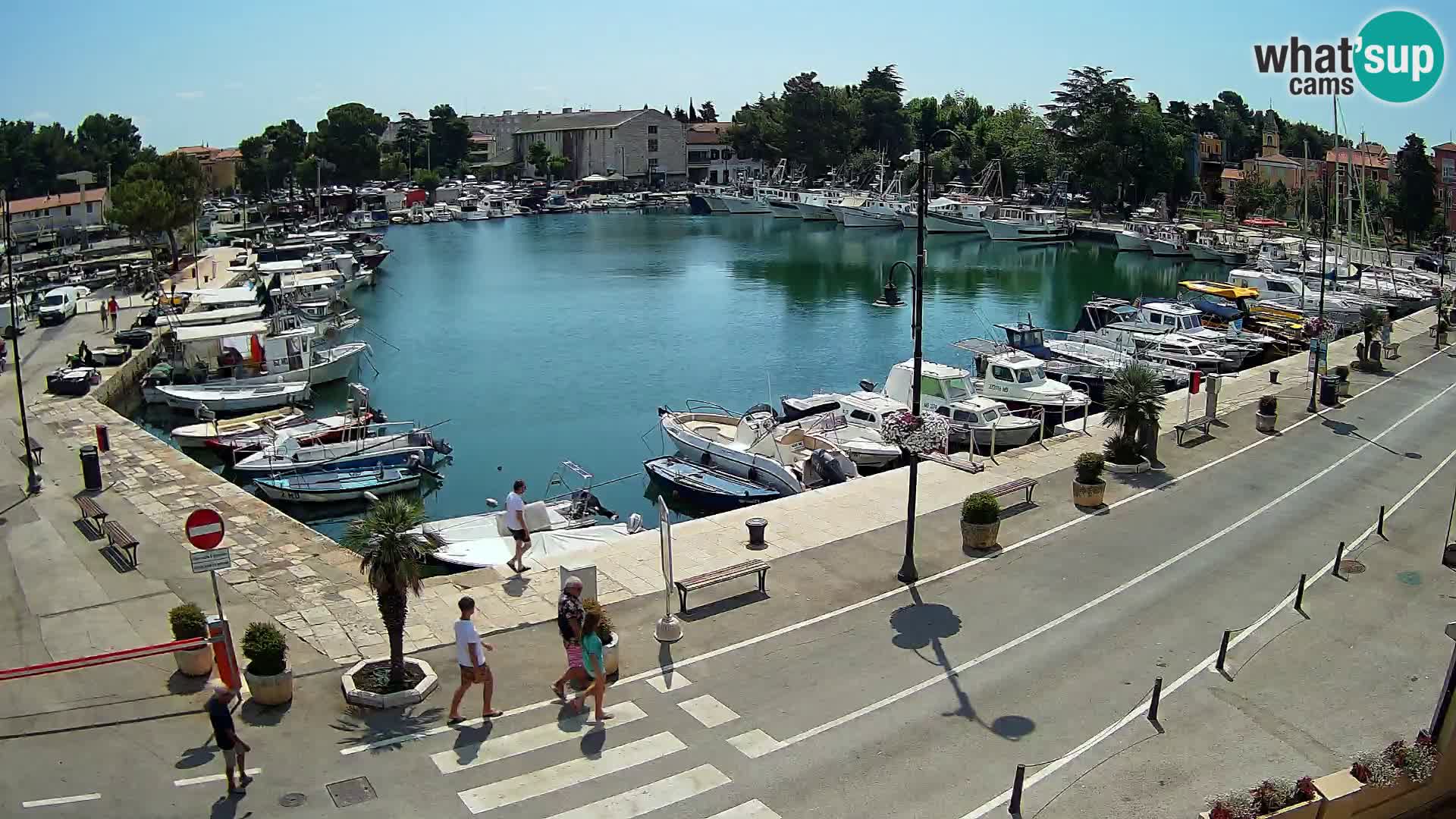 Novigrad kamera Mandrač – Istra