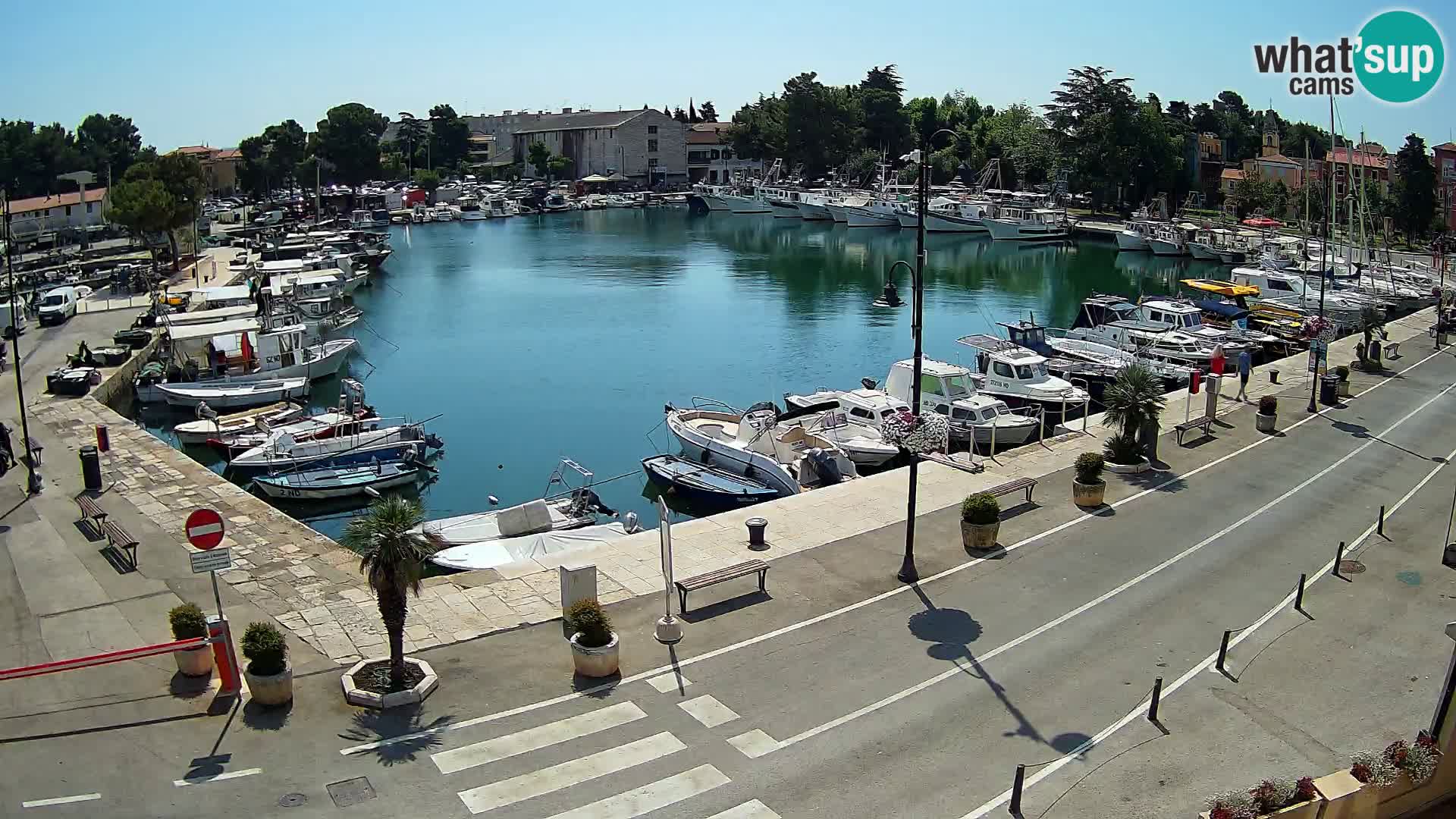 Novigrad webcam Mandrač | Cittanova in Istria – Porto vecchio