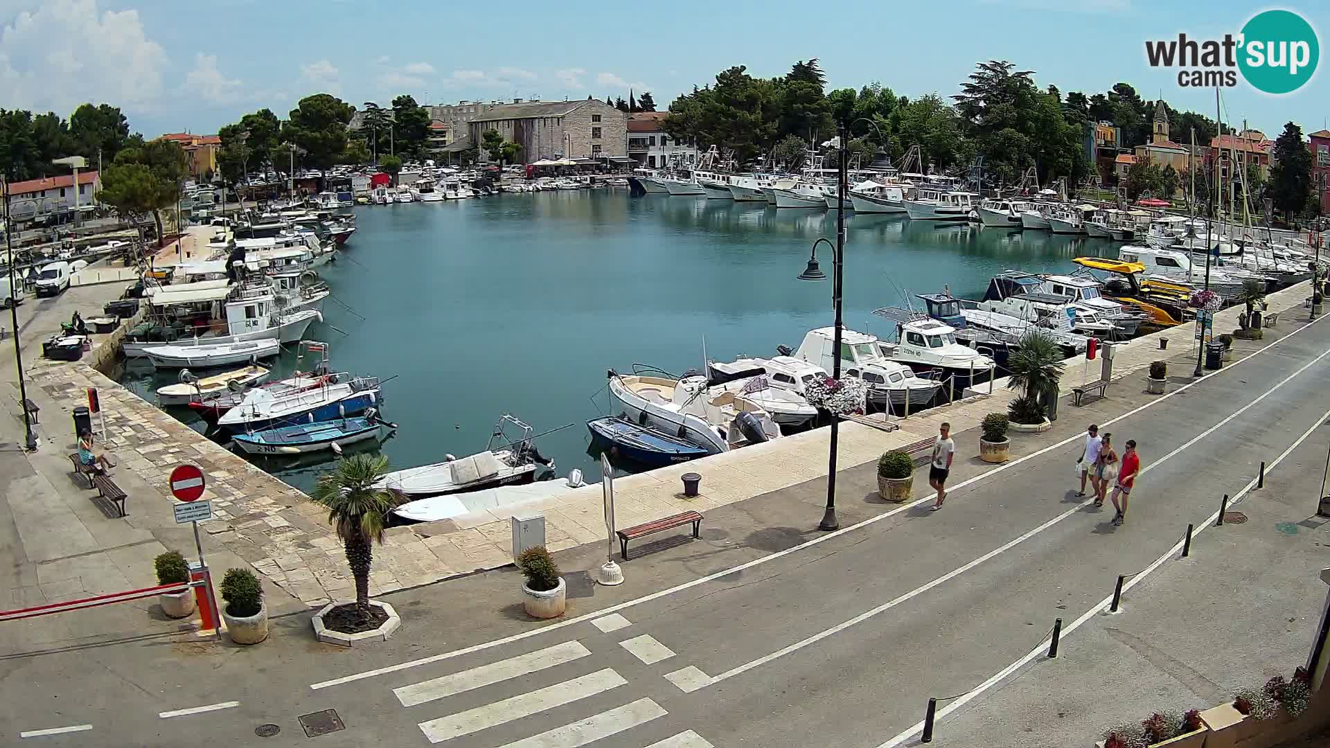 Novigrad kamera Mandrač – Istra