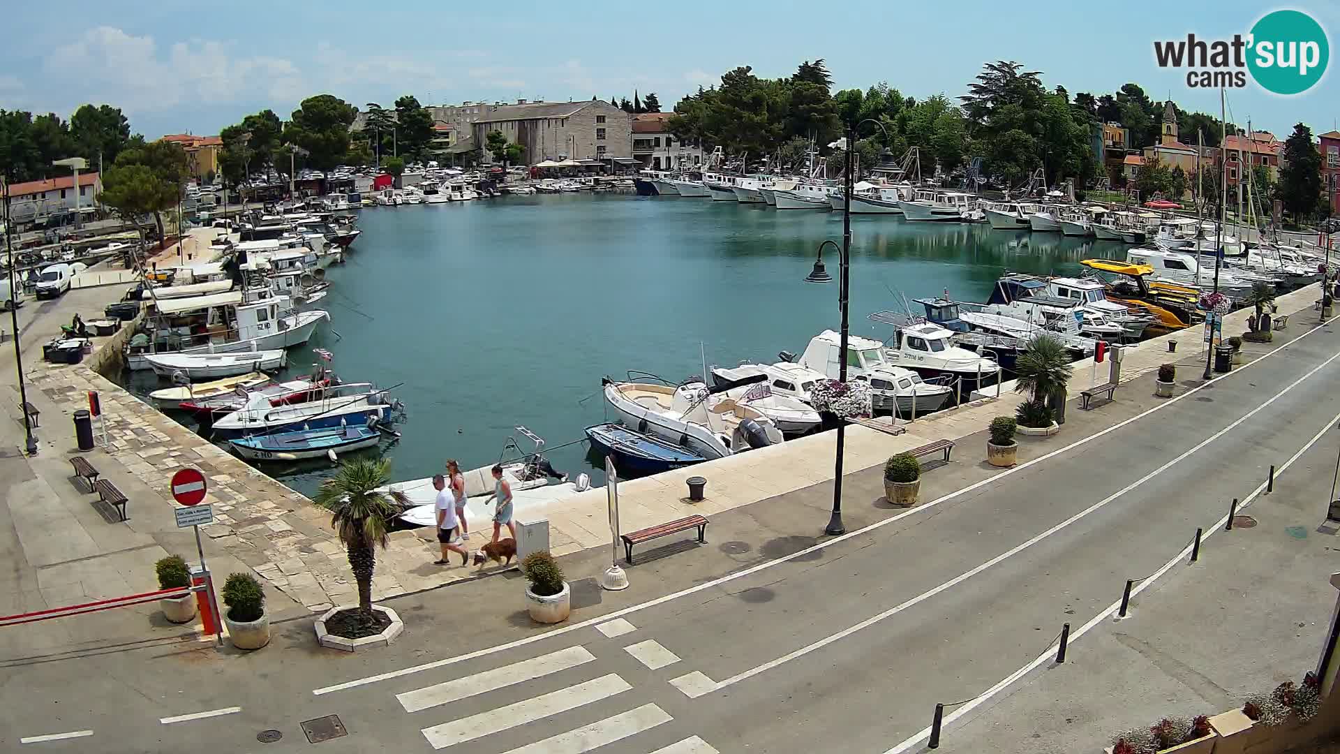 Novigrad –  Mandrač