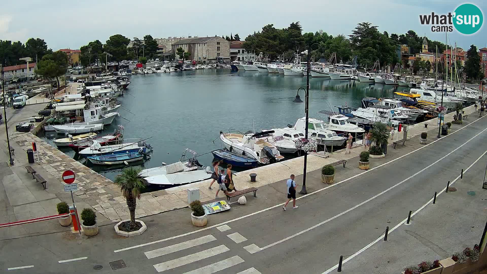 Novigrad kamera Mandrač – Istra