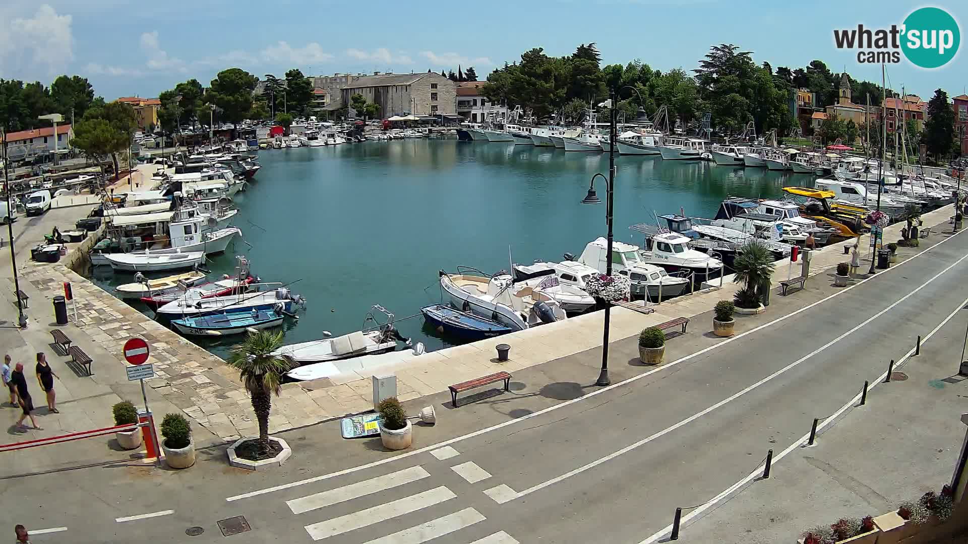 Novigrad webcam Mandrač | Cittanova in Istria – Porto vecchio