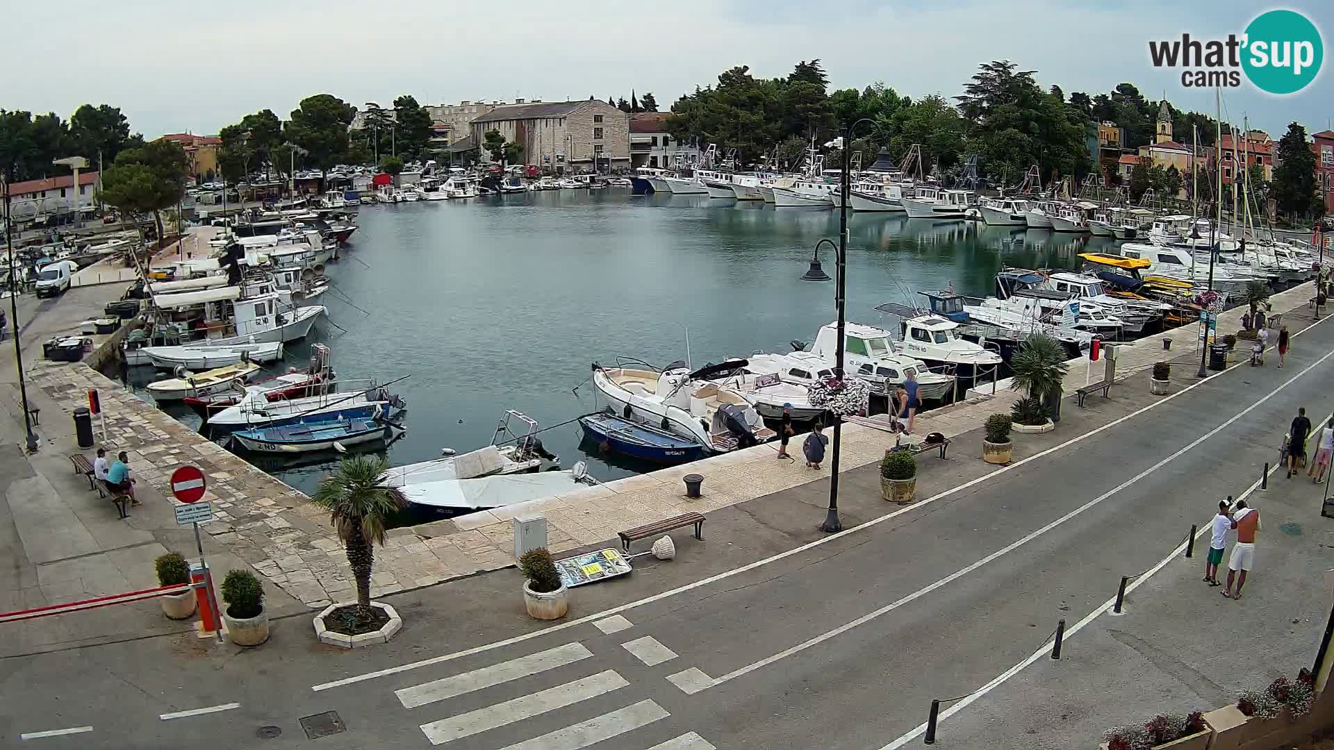 Novigrad –  Mandrač
