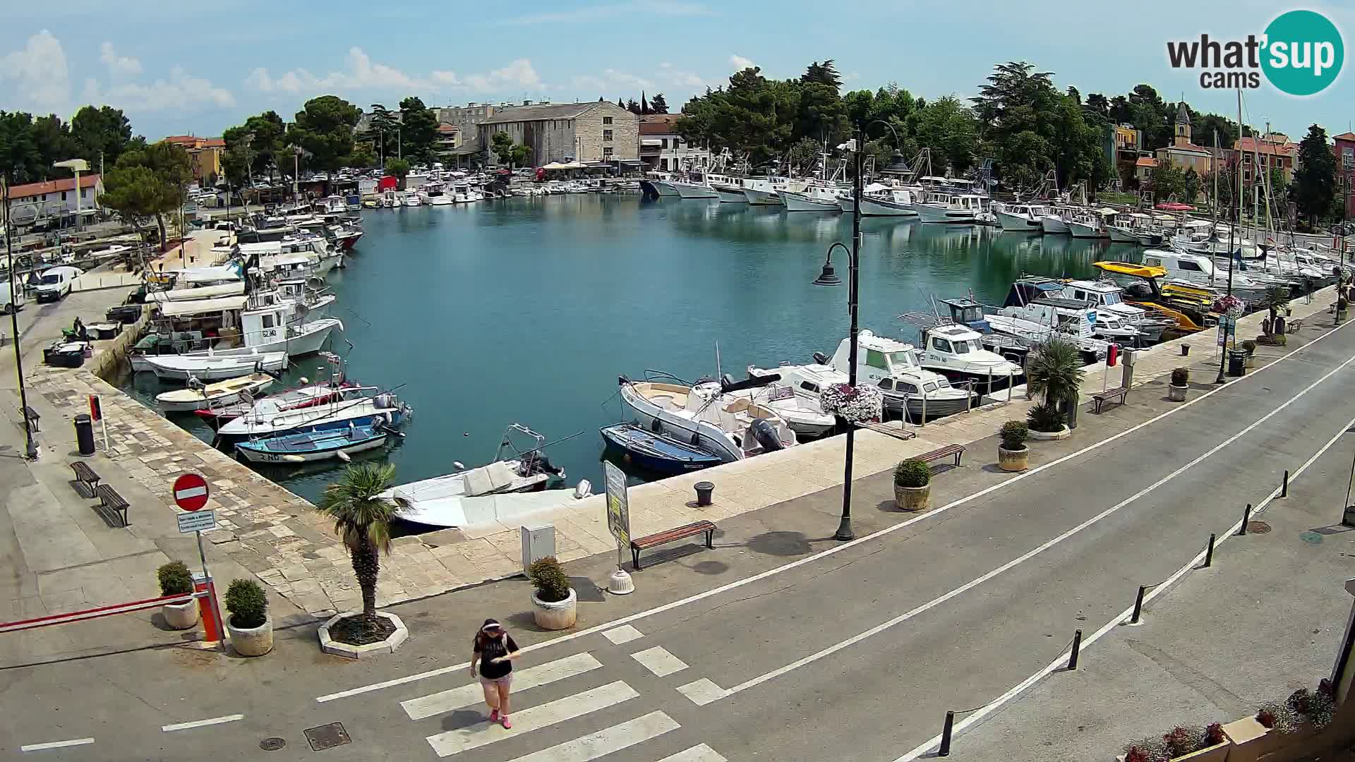 Novigrad – puerto viejo “Mandrač”