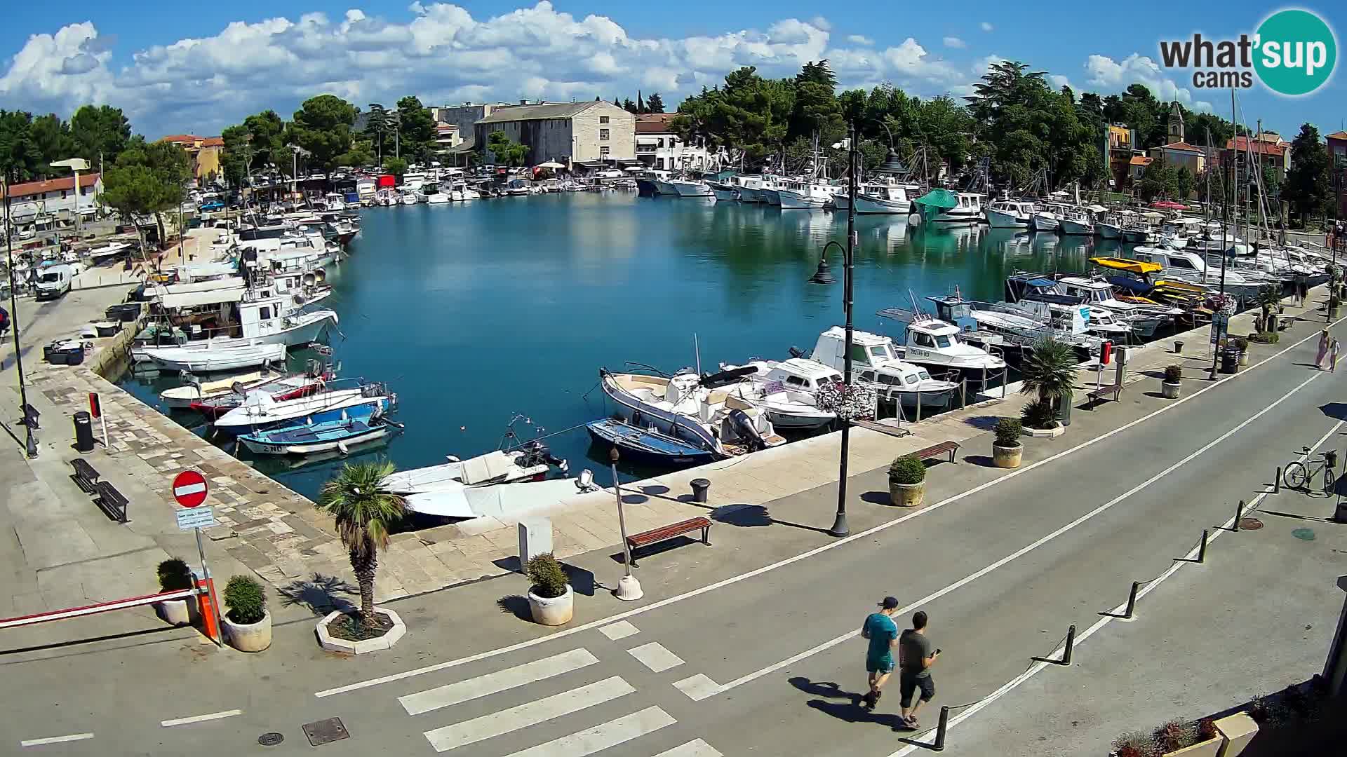 Novigrad –  Mandrač