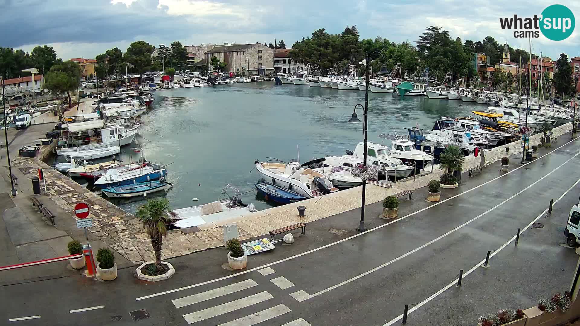 Novigrad webcam Mandrač | Cittanova in Istria – Porto vecchio