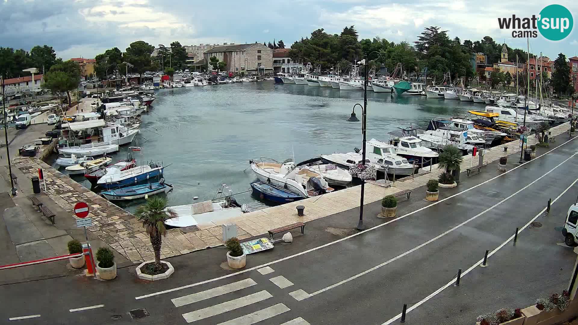 Novigrad kamera Mandrač – Istra