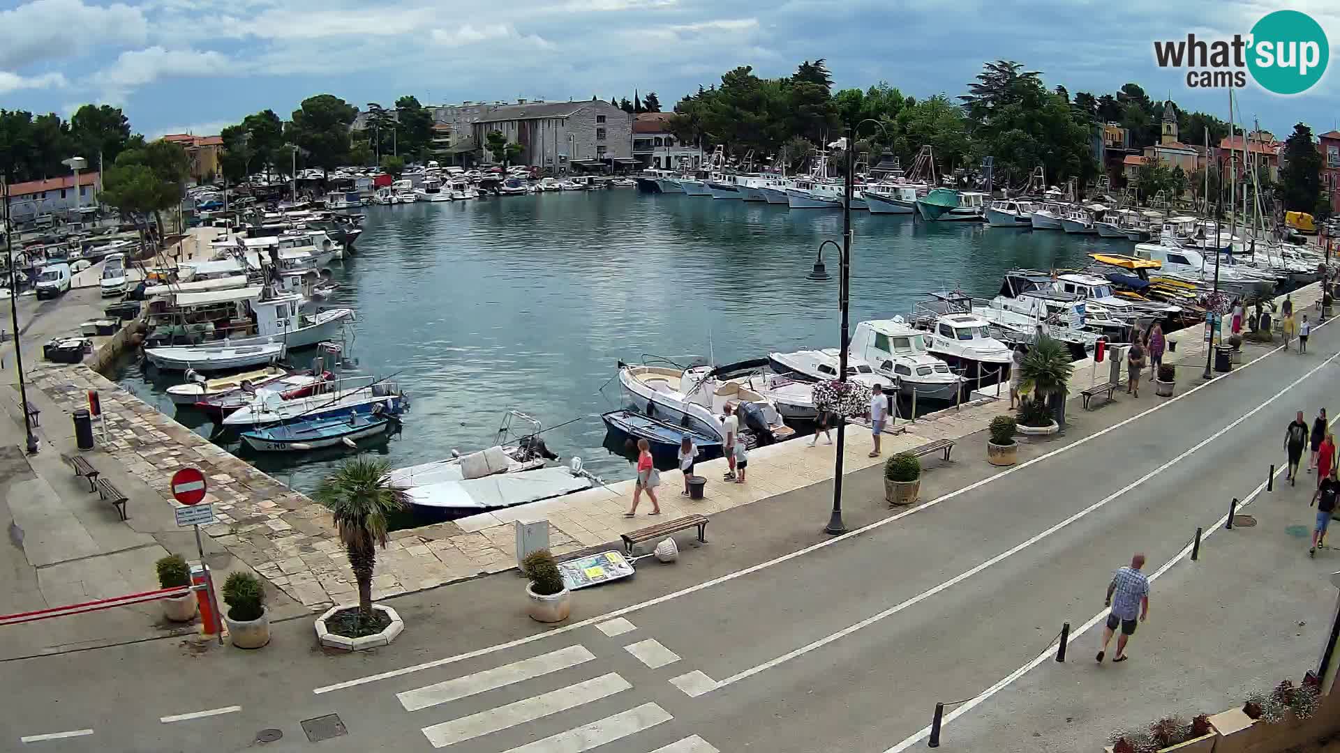 Novigrad kamera Mandrač – Istra