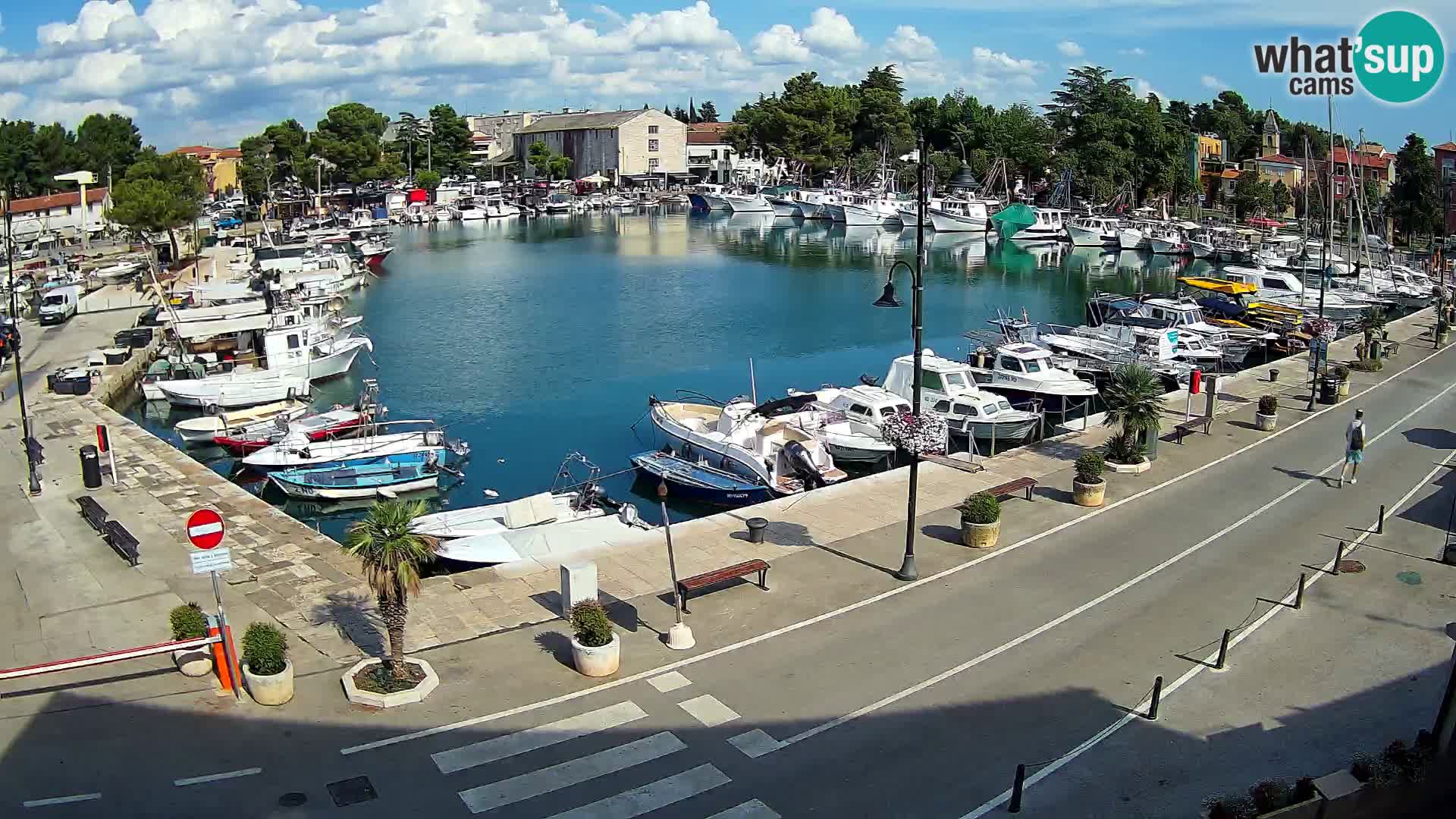 Novigrad webcam Mandrač | Cittanova in Istria – Porto vecchio