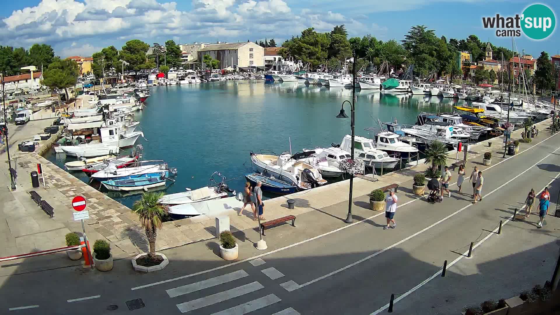 Novigrad webcam Mandrač | alten Hafen – Istrien