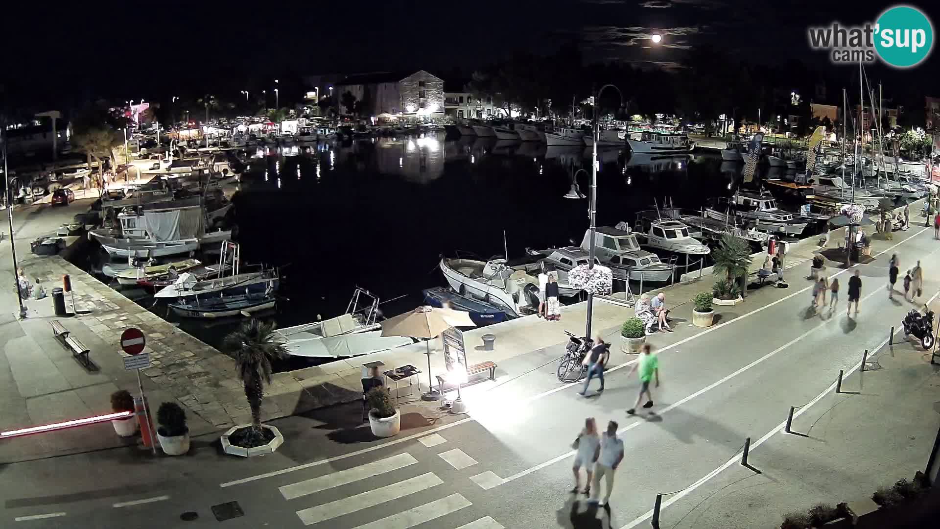 Novigrad webcam Mandrač | Cittanova in Istria – Porto vecchio