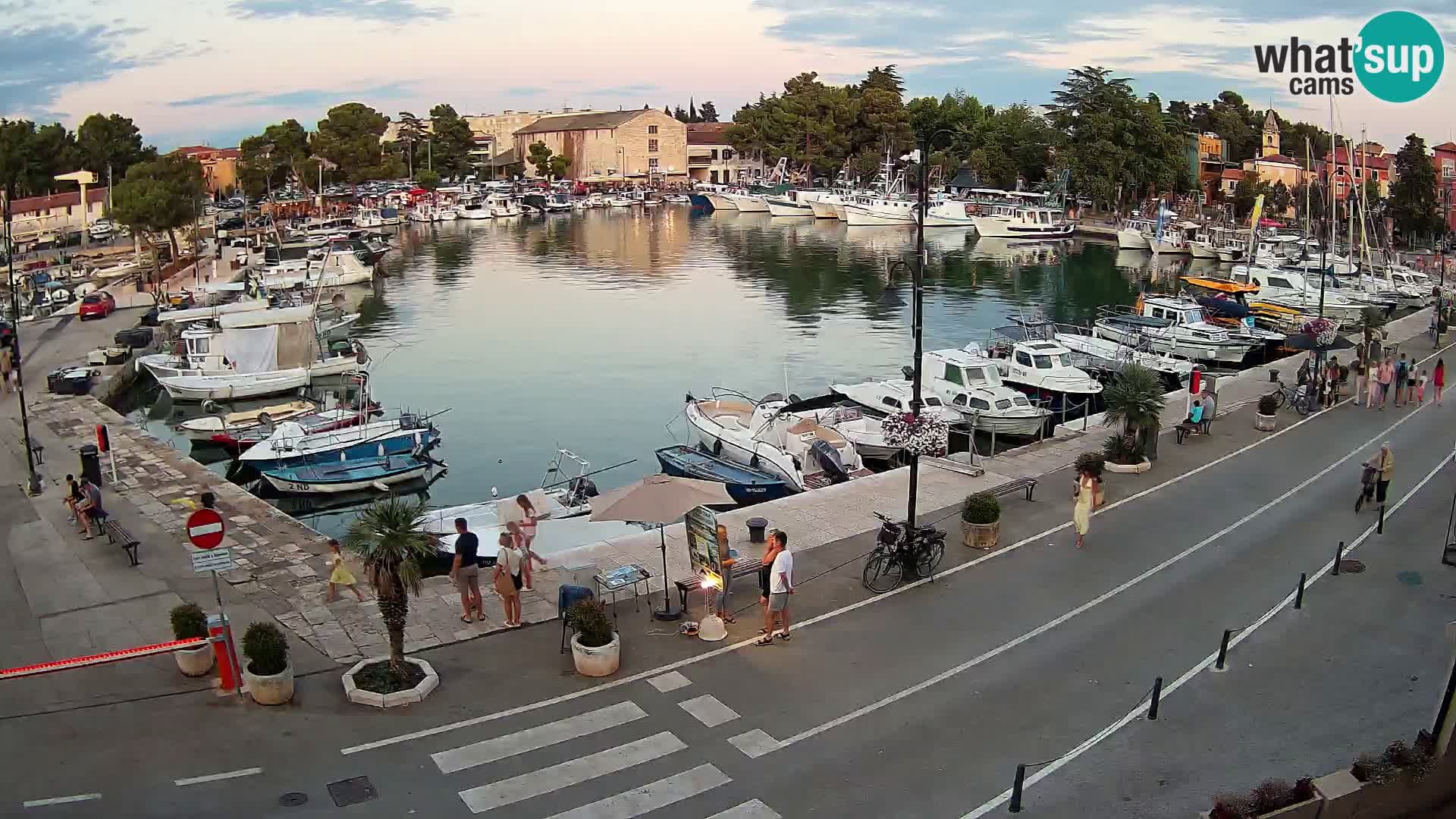 Novigrad webcam Mandrač | alten Hafen – Istrien