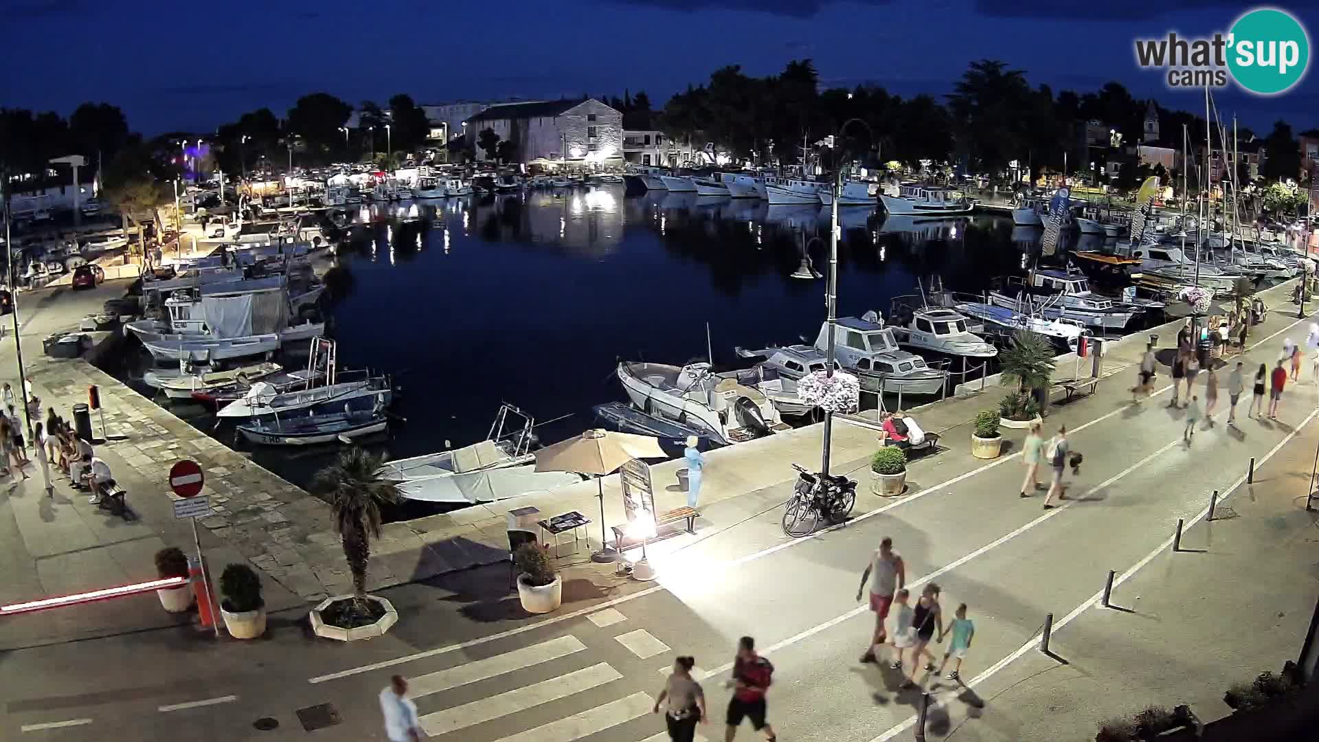 Novigrad webcam Mandrač | old marina – Istria