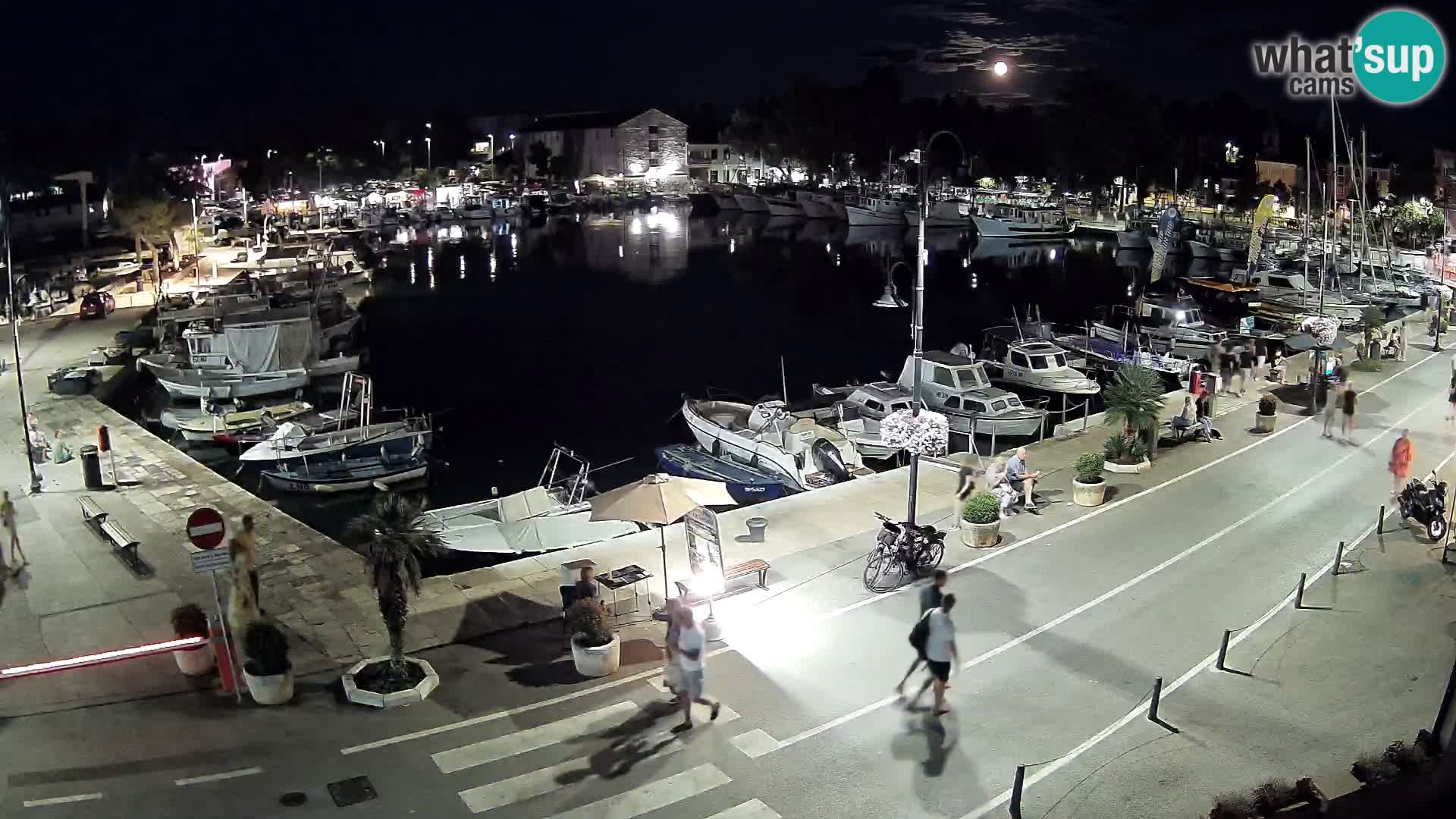 Novigrad webcam Mandrač | old marina – Istria