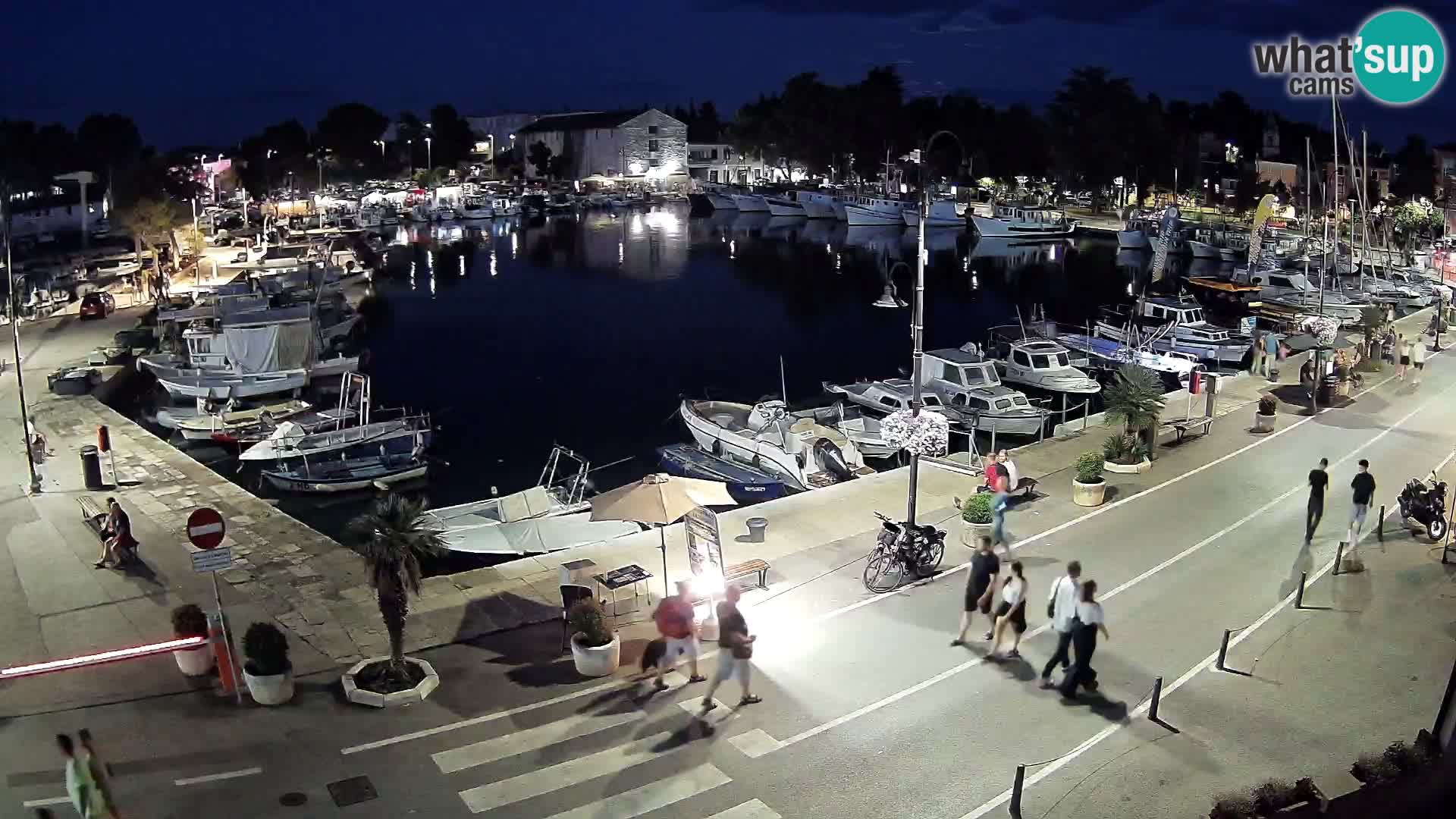 Novigrad kamera Mandrač – Istra