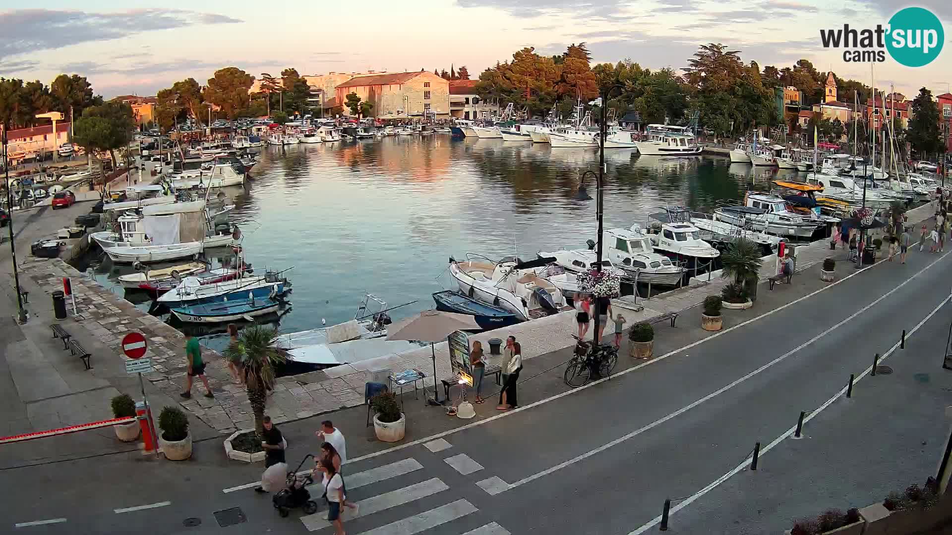 Novigrad kamera Mandrač – Istra