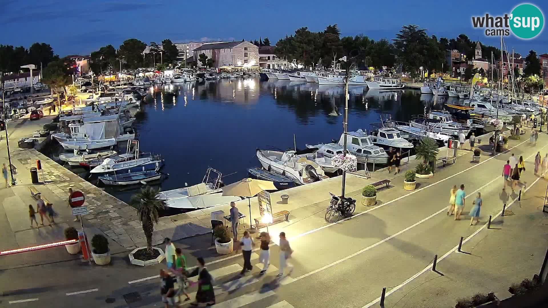 Novigrad webcam Mandrač | old marina – Istria