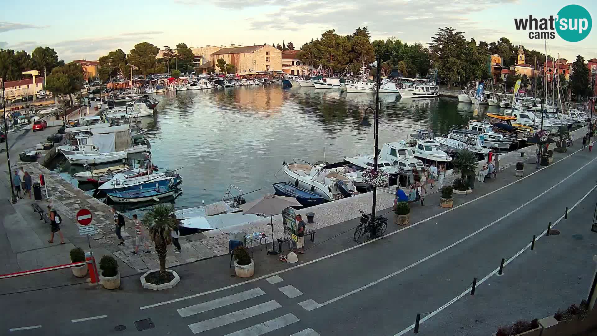 Novigrad webcam Mandrač | alten Hafen – Istrien