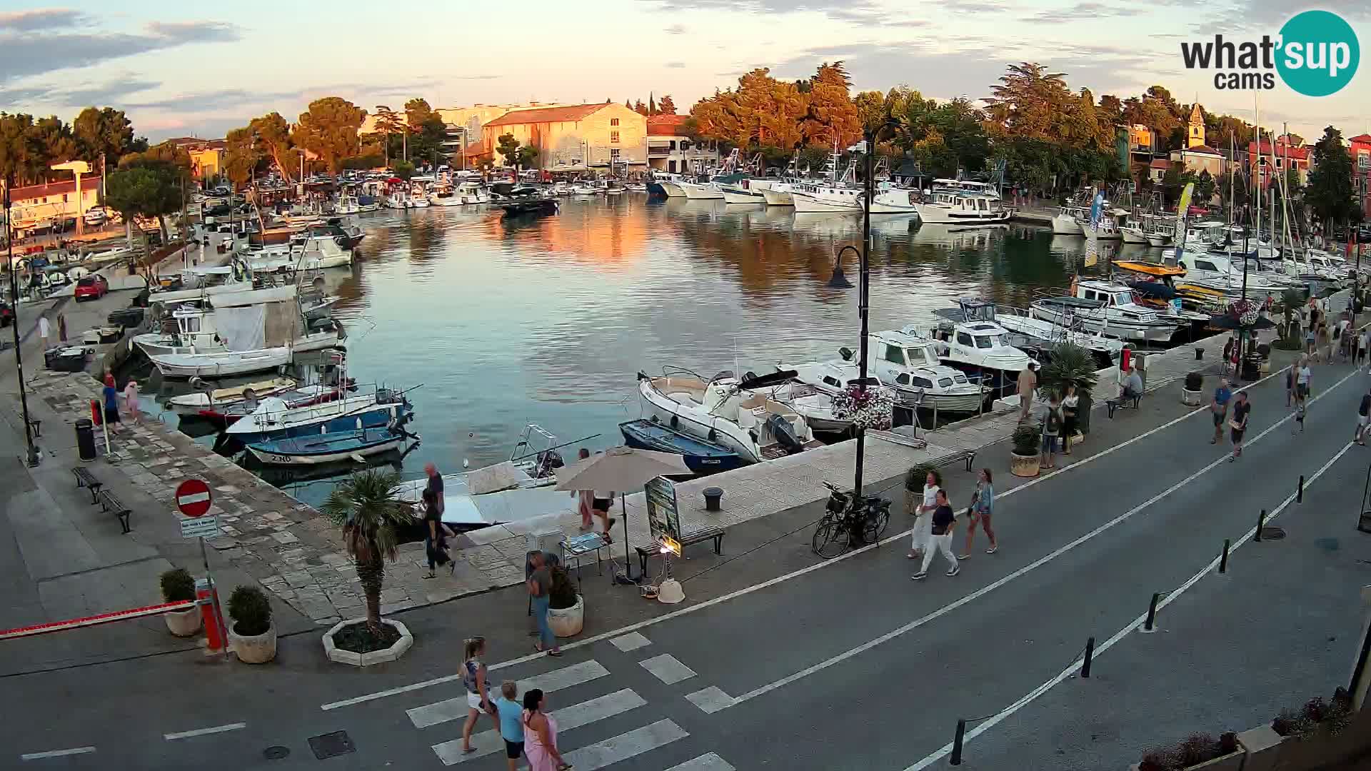 Novigrad webcam Mandrač | Cittanova in Istria – Porto vecchio