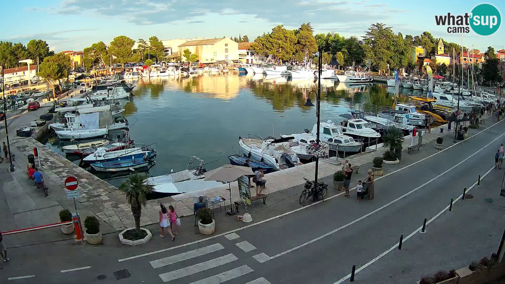 Novigrad webcam Mandrač | Cittanova in Istria – Porto vecchio