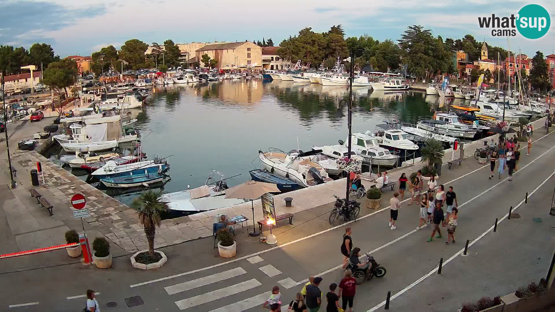 Novigrad webcam Mandrač | alten Hafen – Istrien